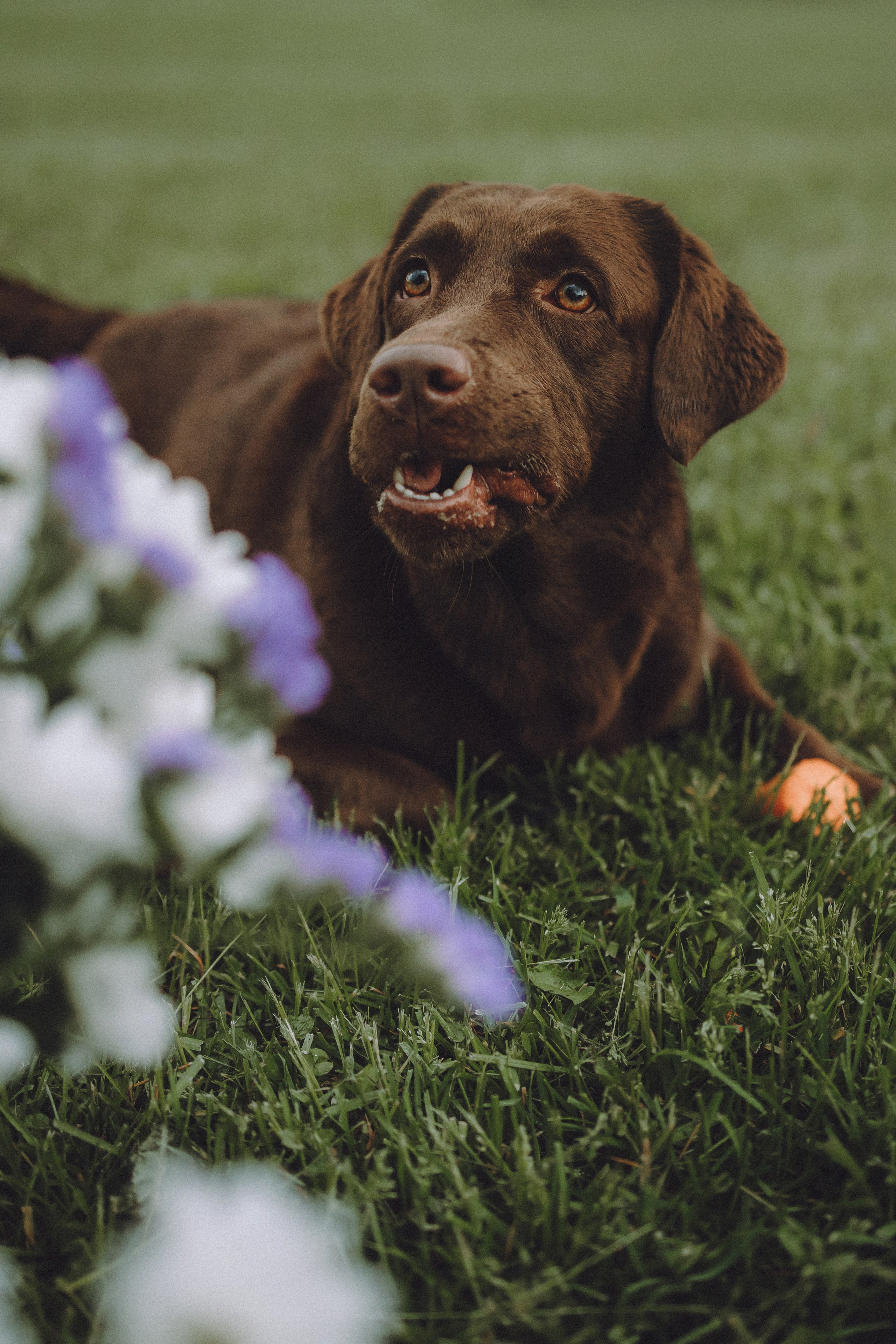 Катя, Ваня и Джеси