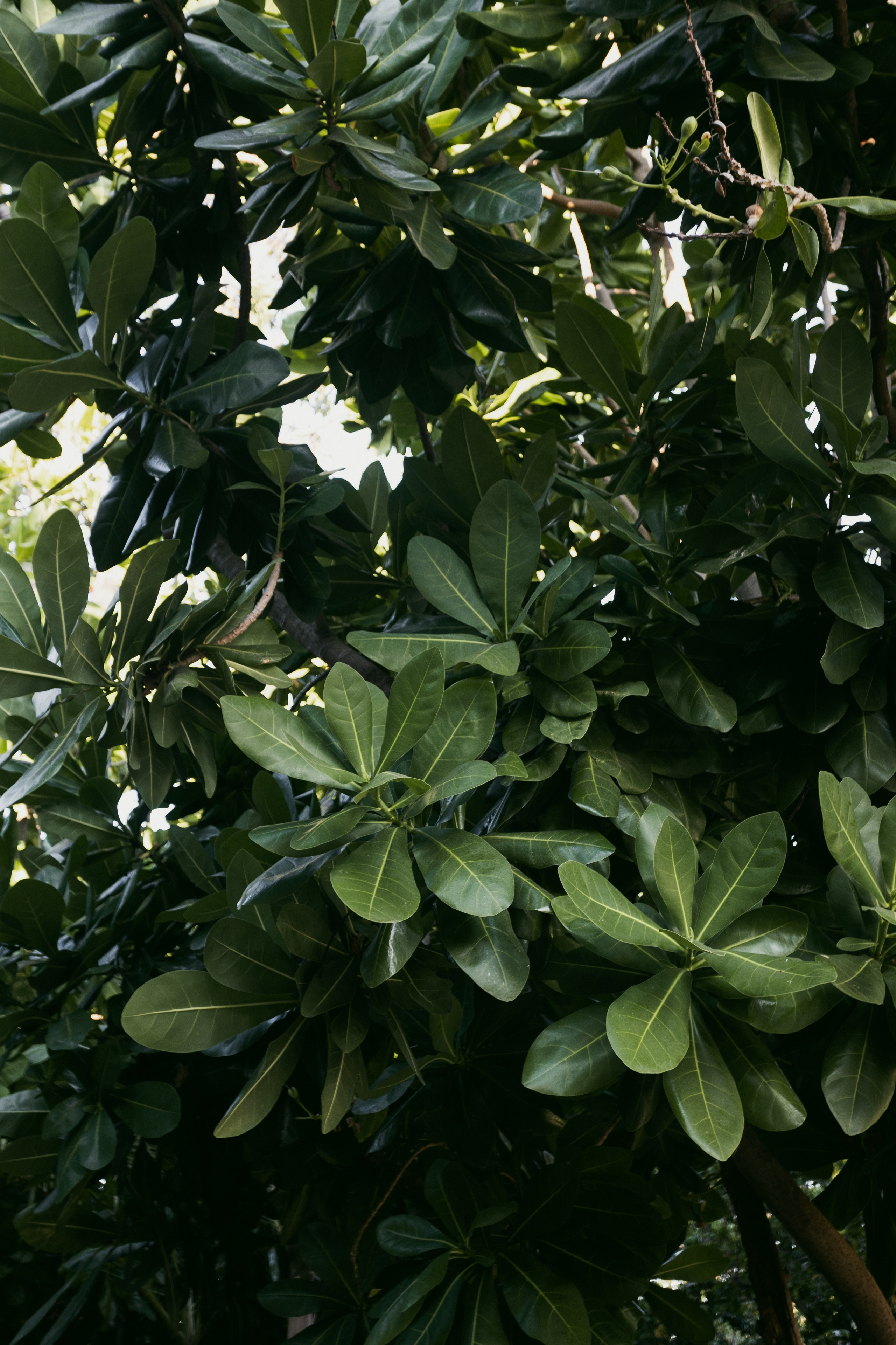 Samut Prakan. Фотограф Сонкина Татьяна