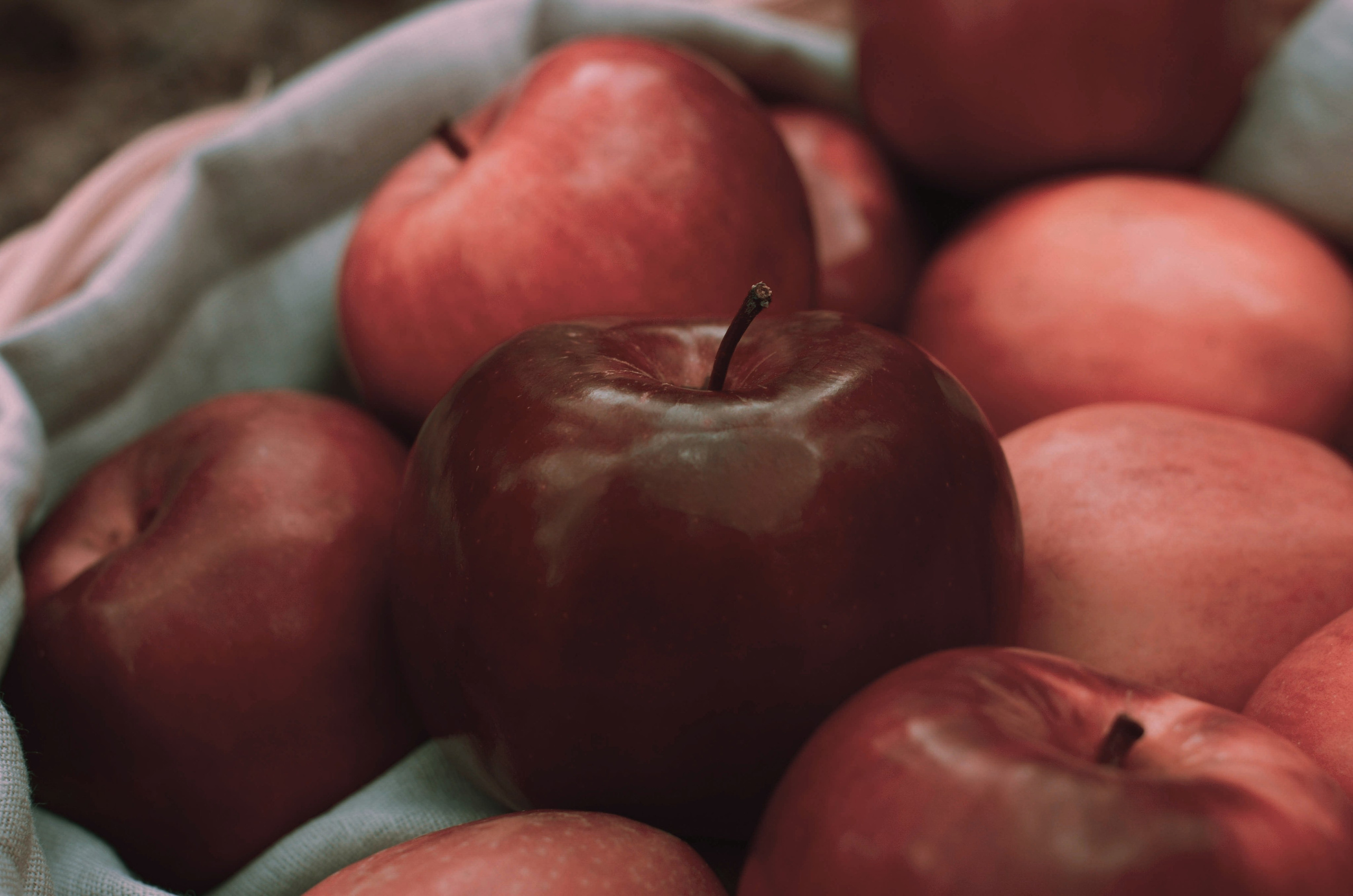 Фотопроект «Яблоки Белоснежки». Фотосессии по мотивам сказок и фильмов — Катерина Исауленко. СПб