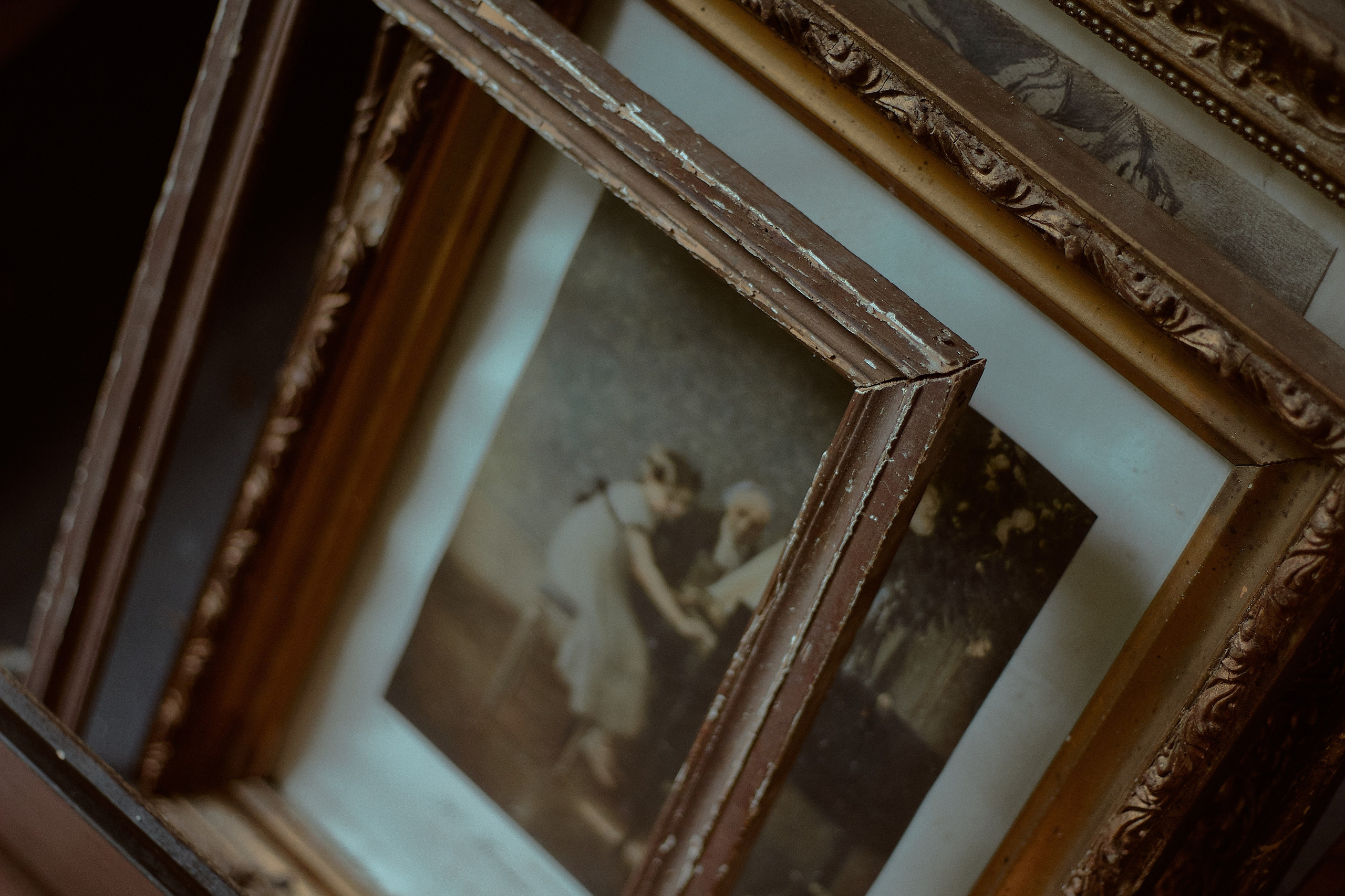 Люпин. Фотограф лавстори Москва/МО Приятелева Ангелина