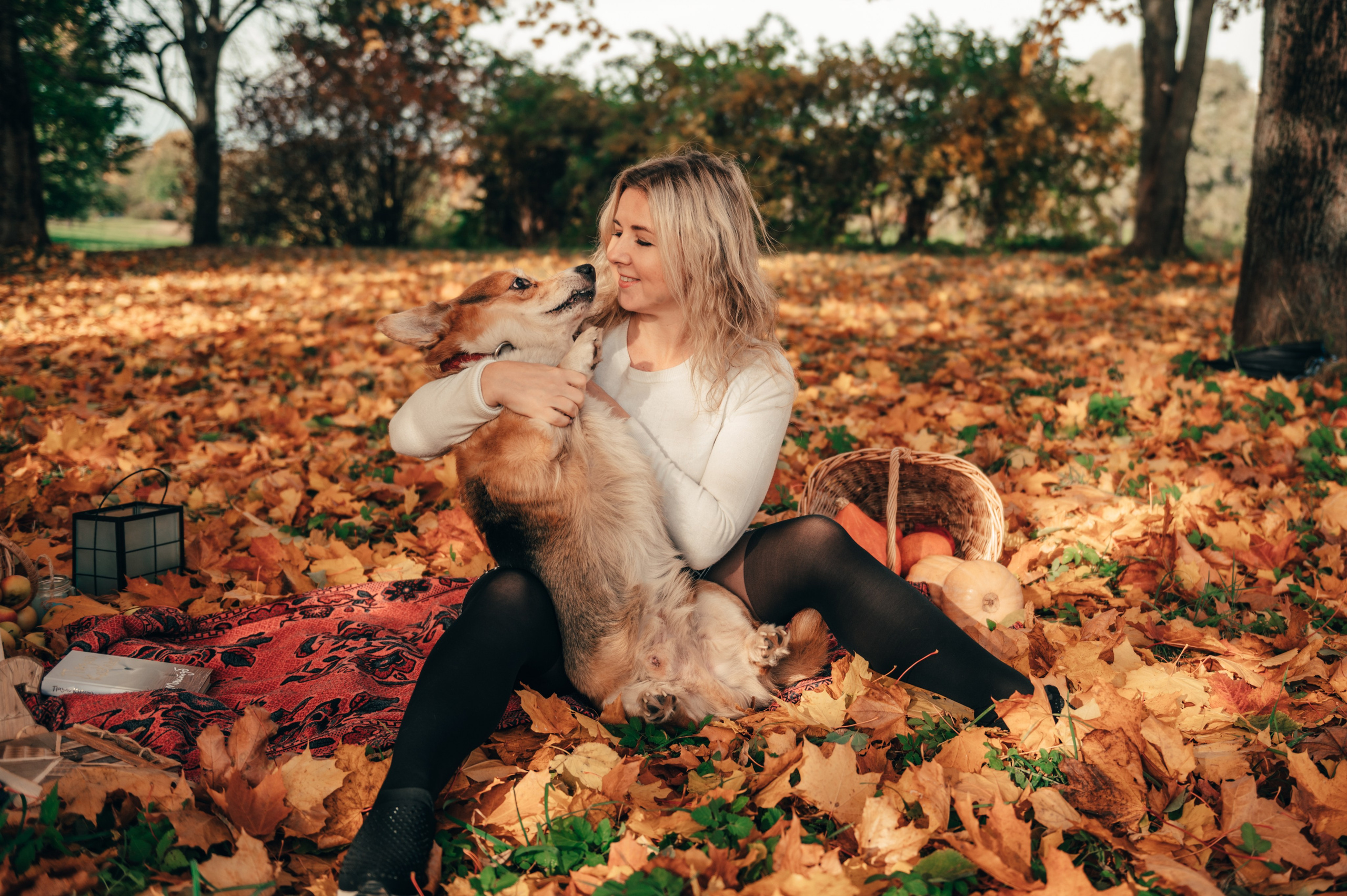 Все краски осени. Свадебный и семейный фотограф София Невская
