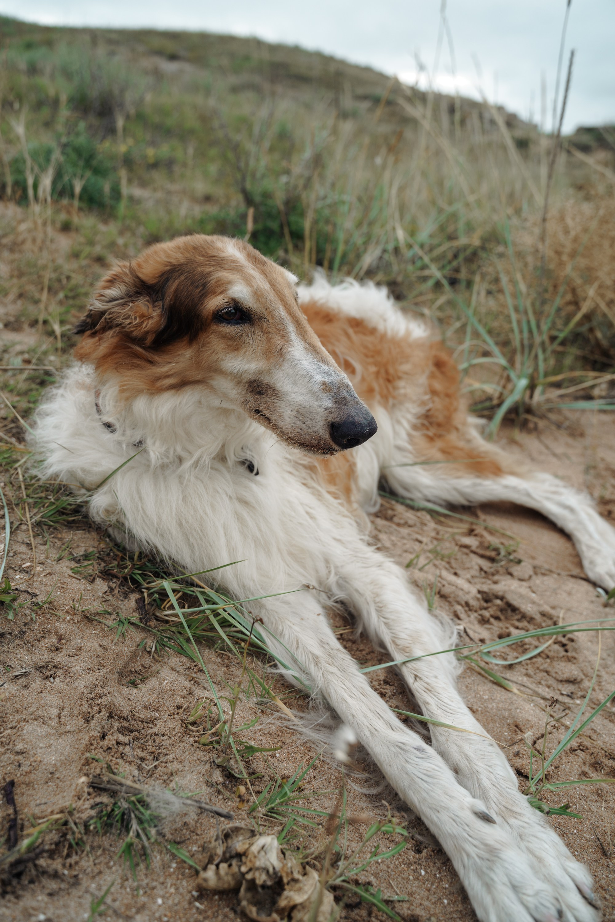 Mermaid. Портретный фотограф в Краснодаре Валерия Матирная