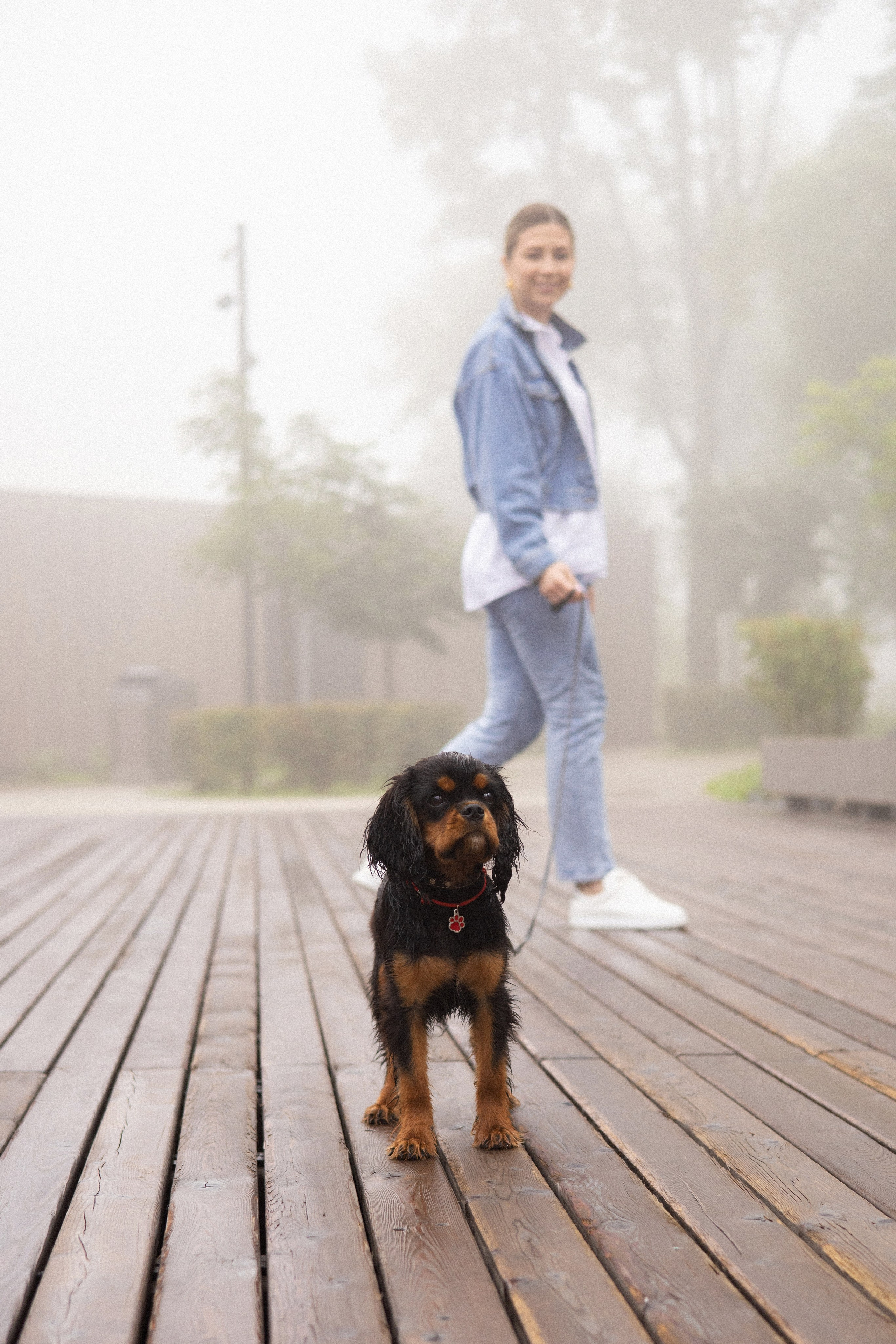 Алёна и Каспер. Фотограф — анималист Владивосток, Алина