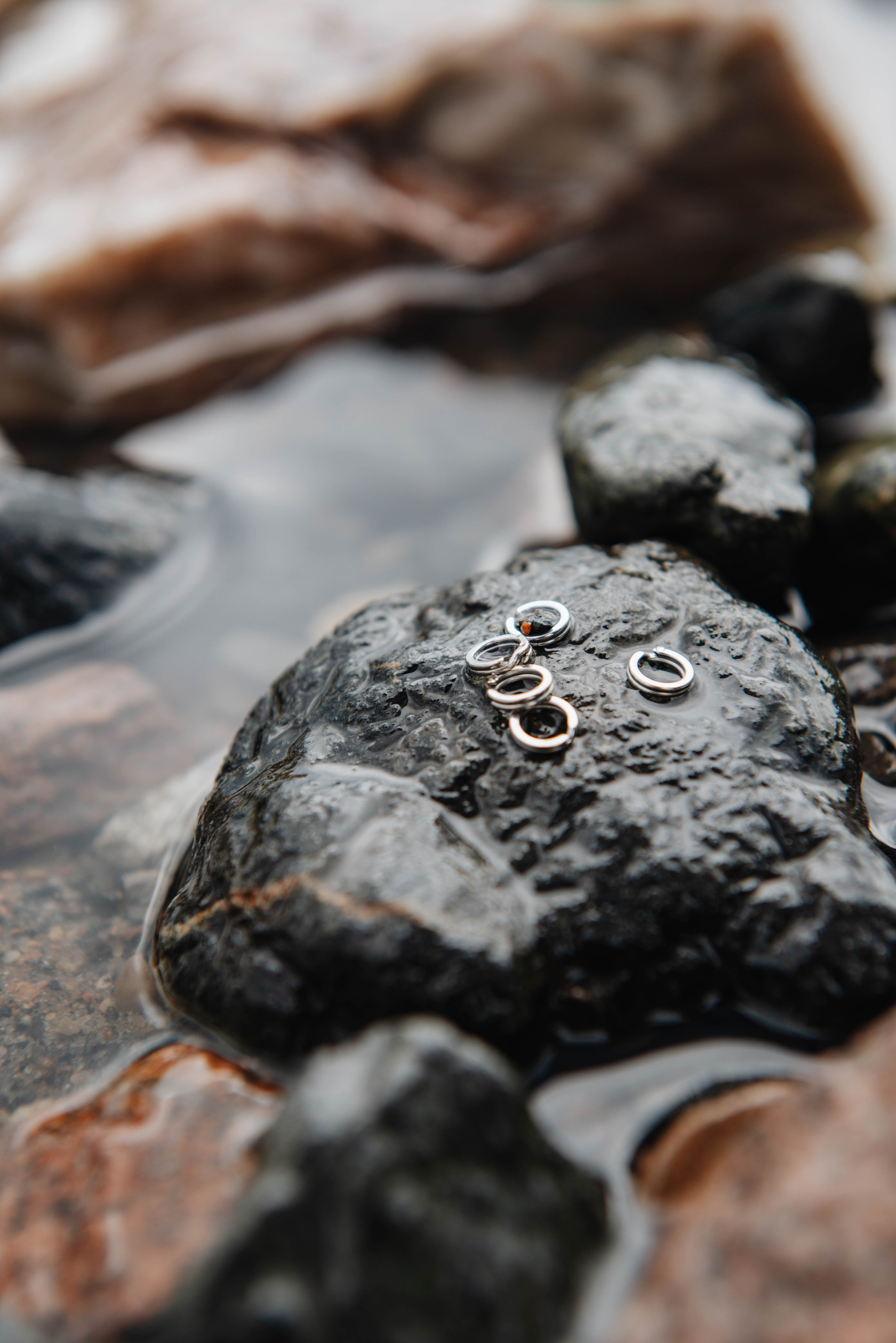 Каталог. Фотограф Фирсанова Алина