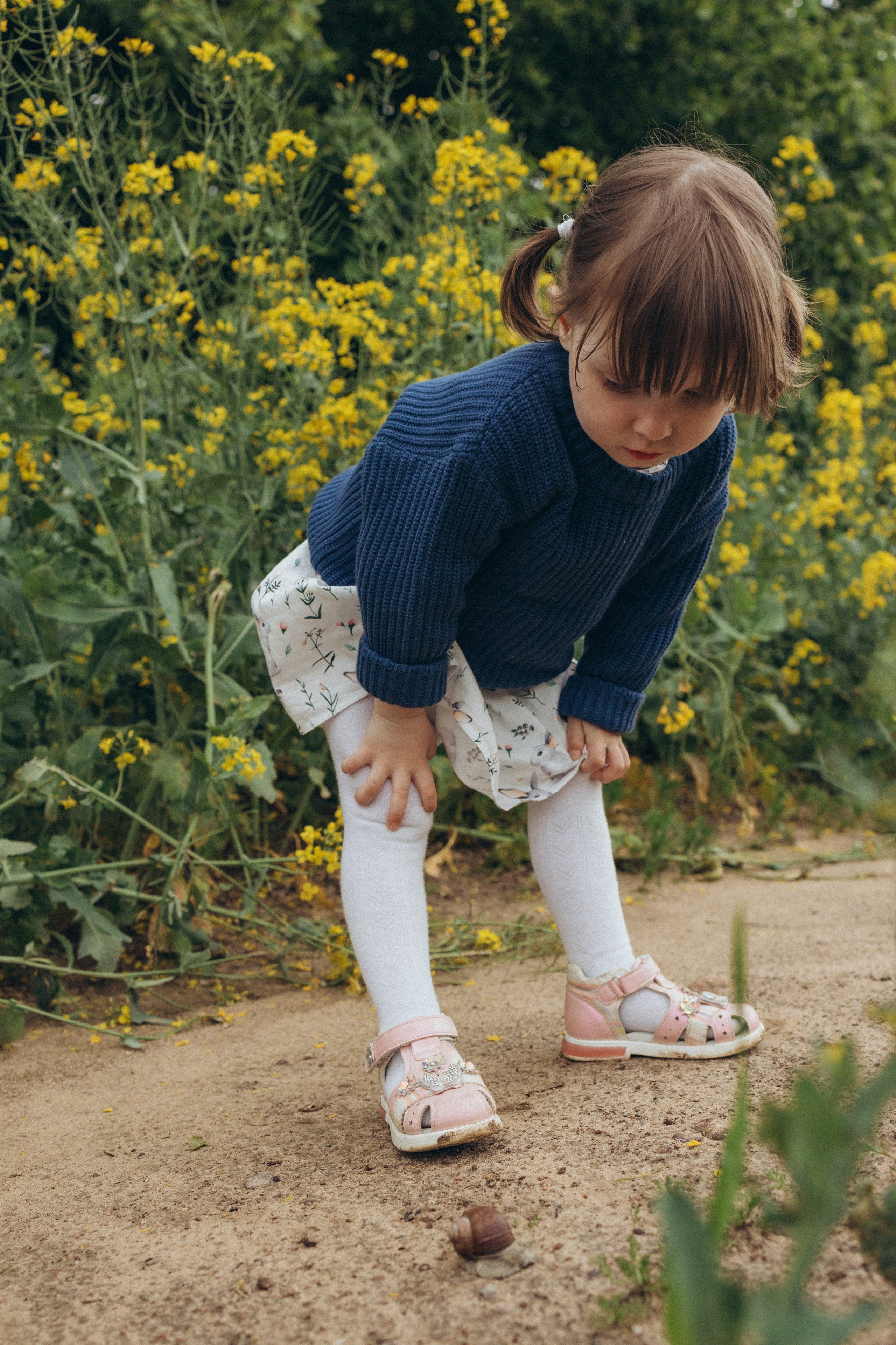После дождя. Фотограф Елена Рябцева