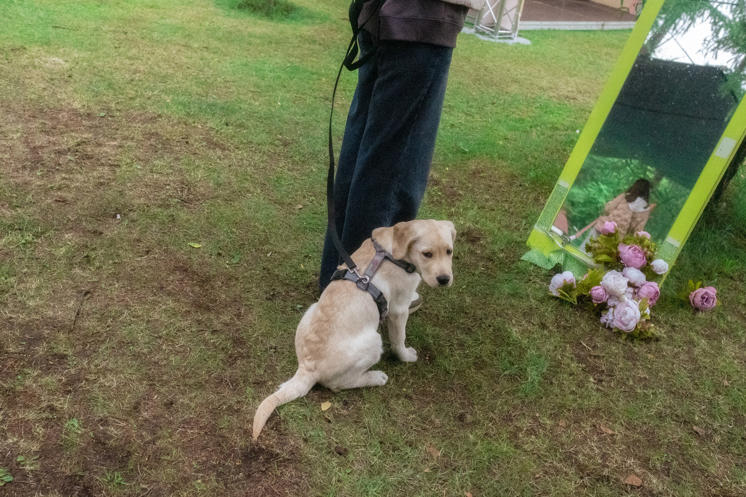 SKURATOV FEST 2025. Креативный фотограф и ретушёр в Омске