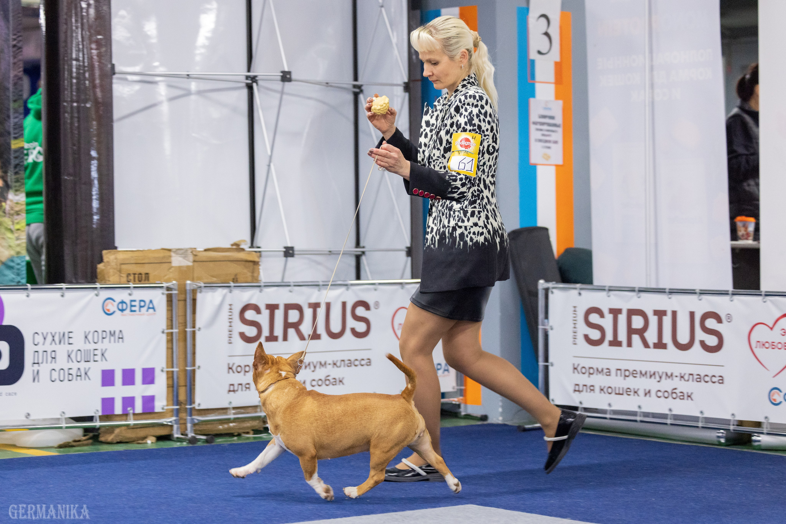 Крокус 10.02,Сфера 11.02.2024. Фотограф-анималист Юлия Германика