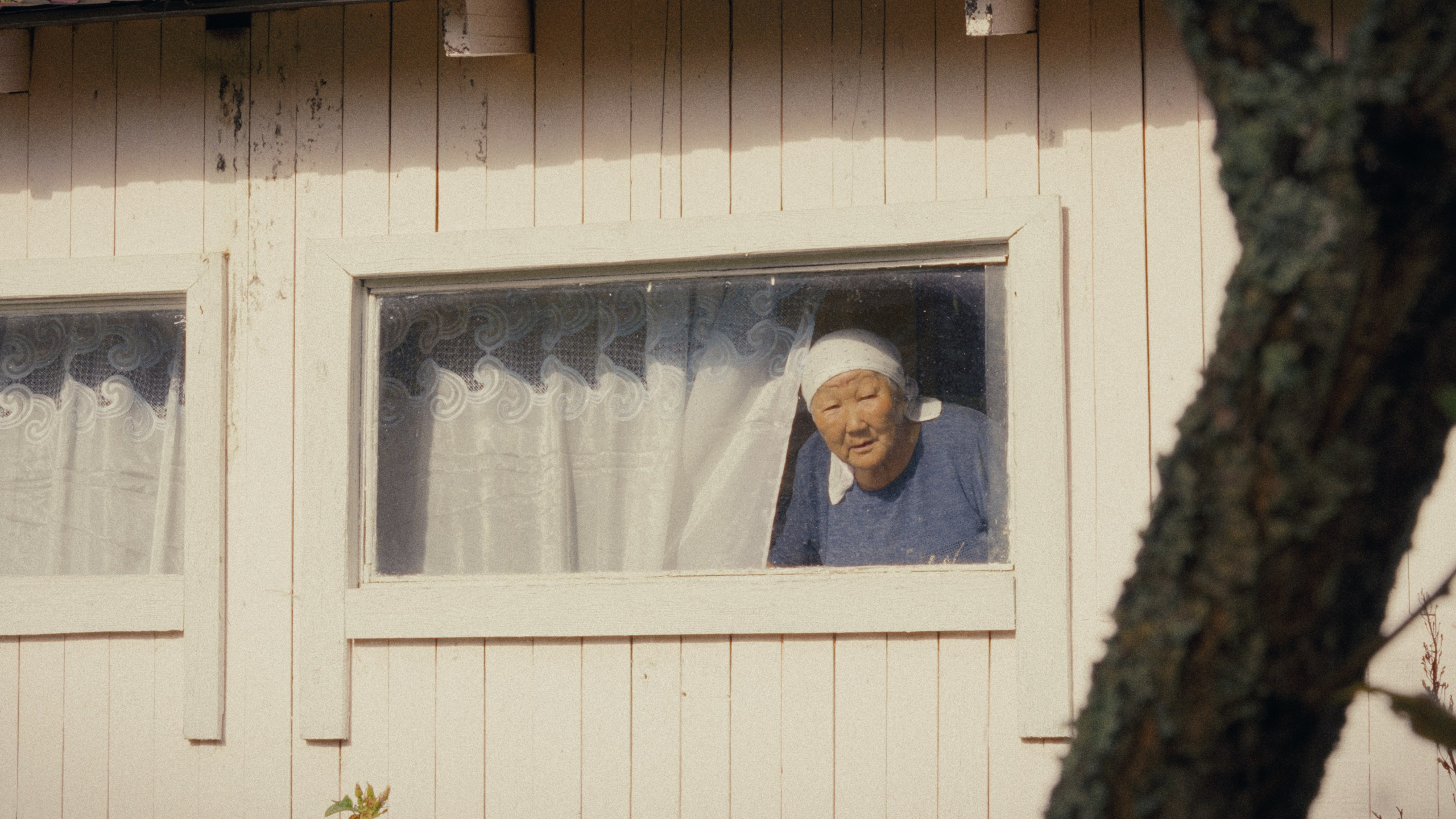 Три сестры (documentary). Цветокоррекция видео онлайн Иван Сержанов