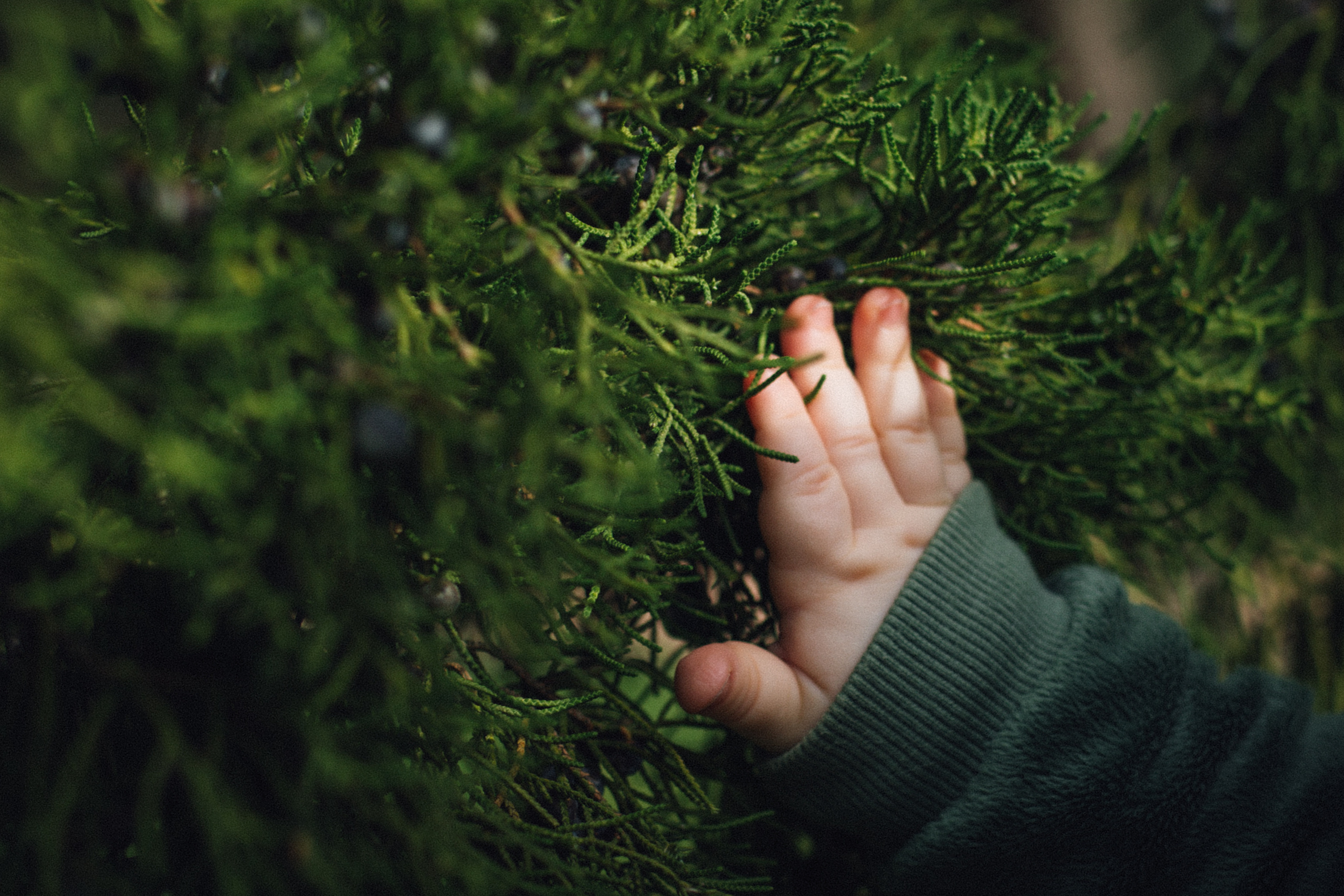 Света и Даниил. Cемейный и женский фотограф в Москве Маргарита Аракчеева