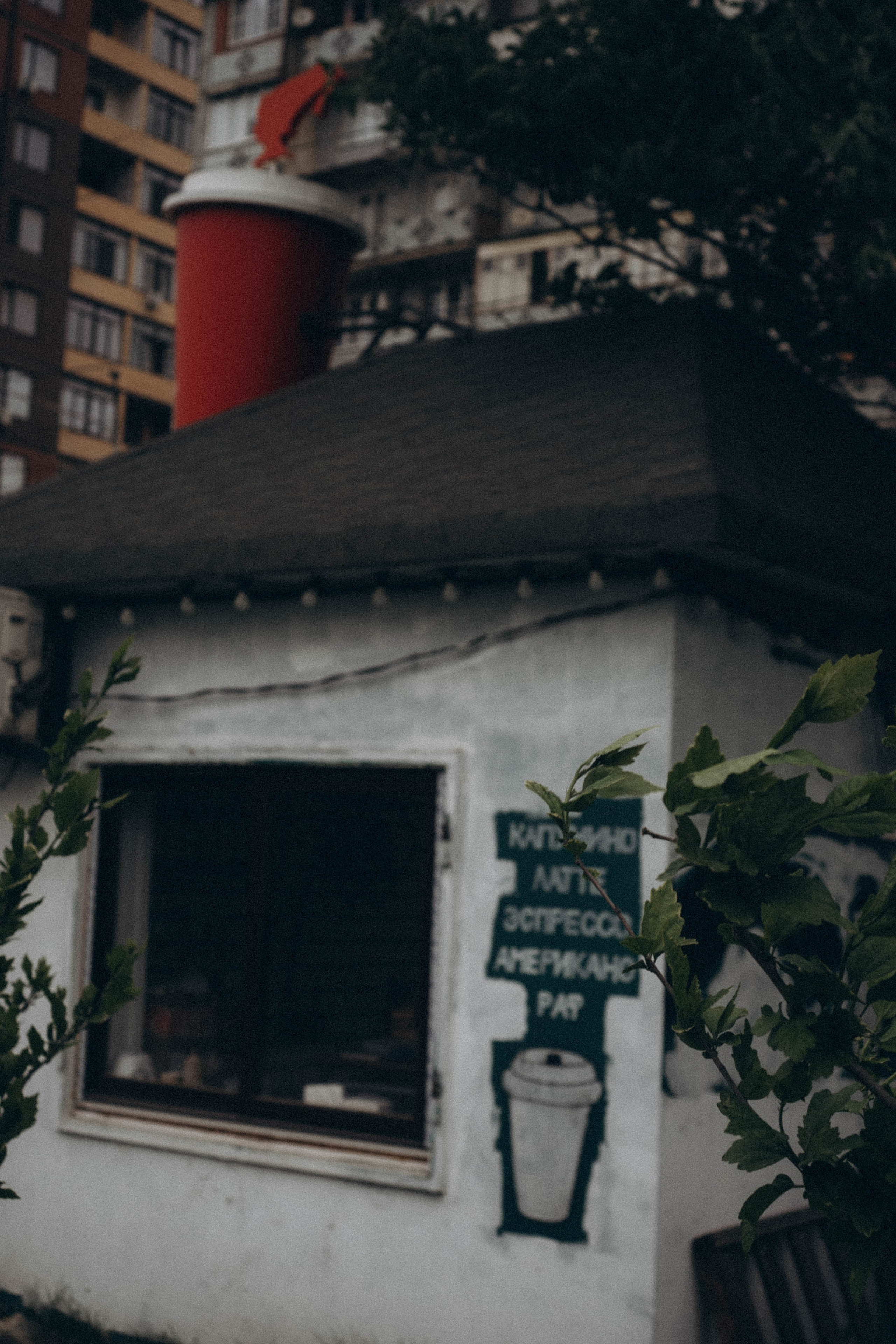 Кавказ. Профессиональный фотограф, Санкт-Петербург — Виктория Богомолова