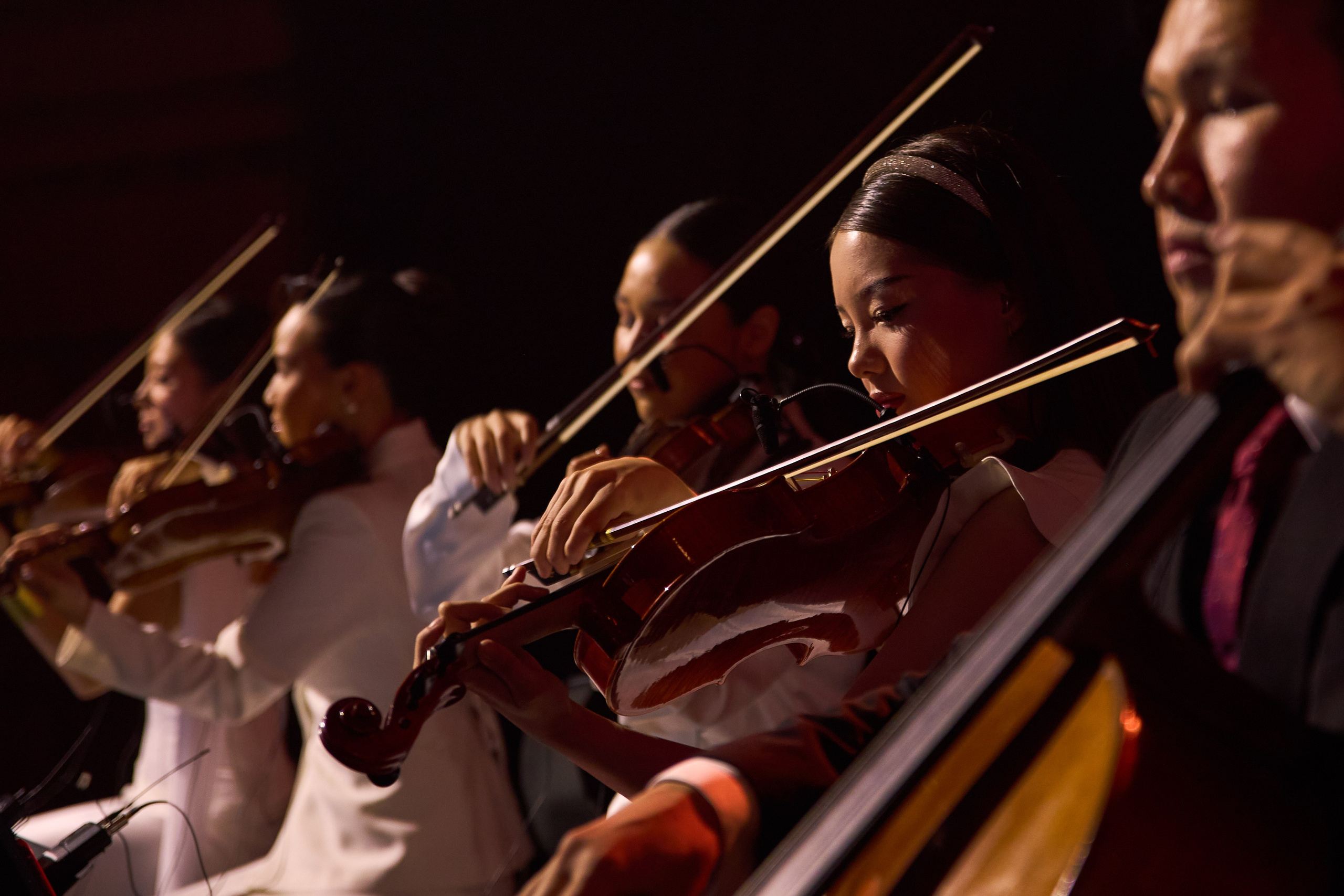 Concert. Главная