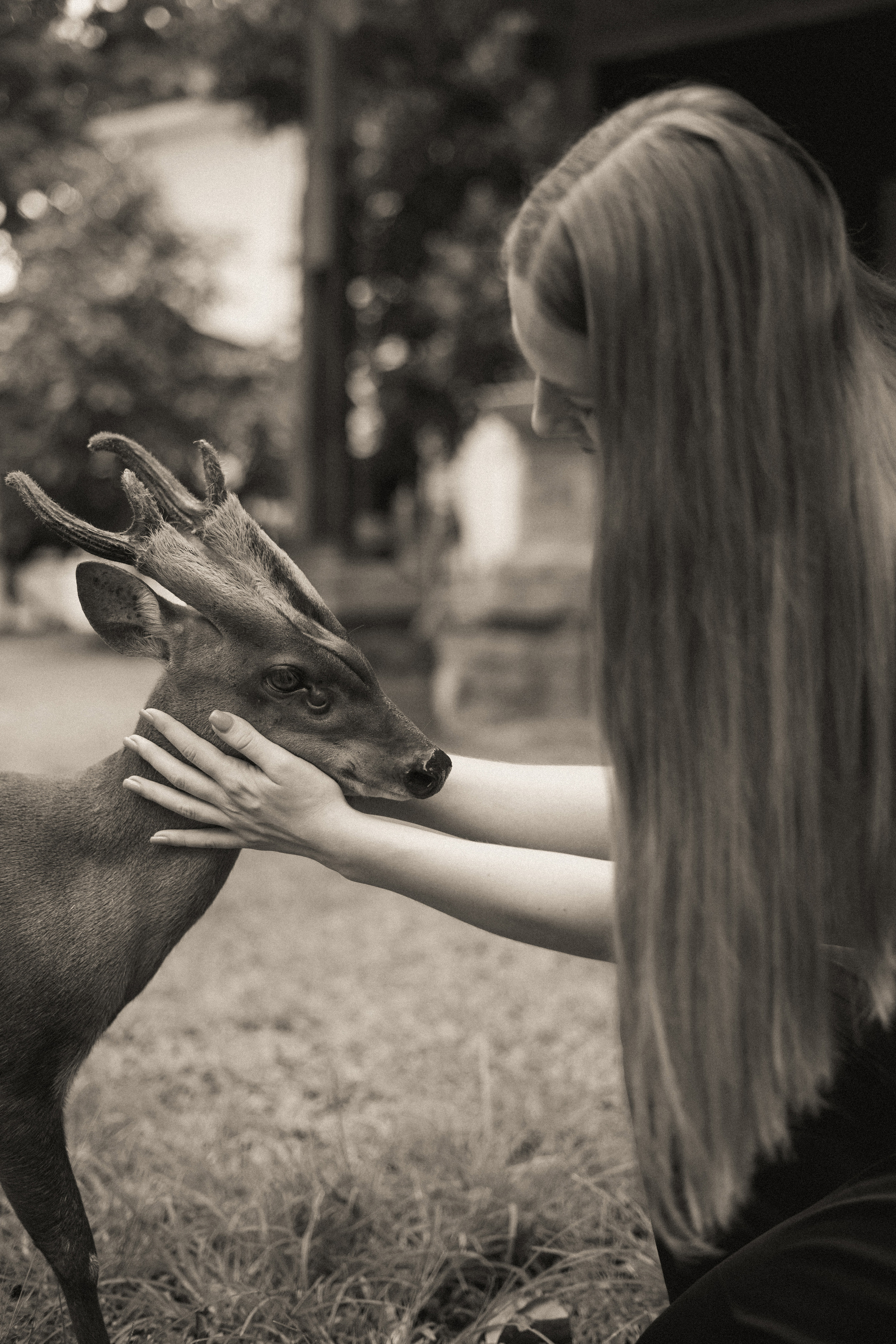 Alisa. Alena Gribkova