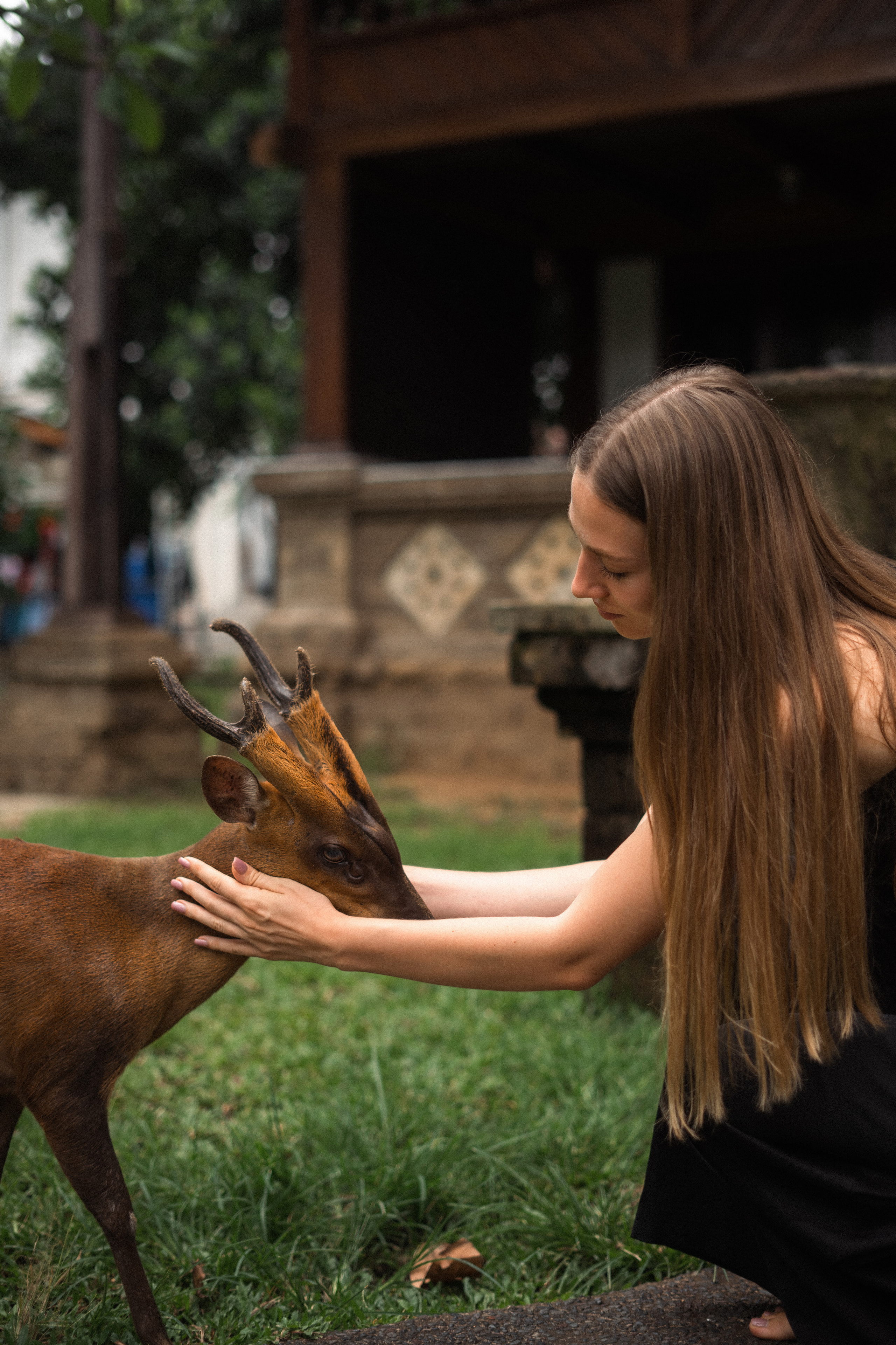 Alisa. Alena Gribkova
