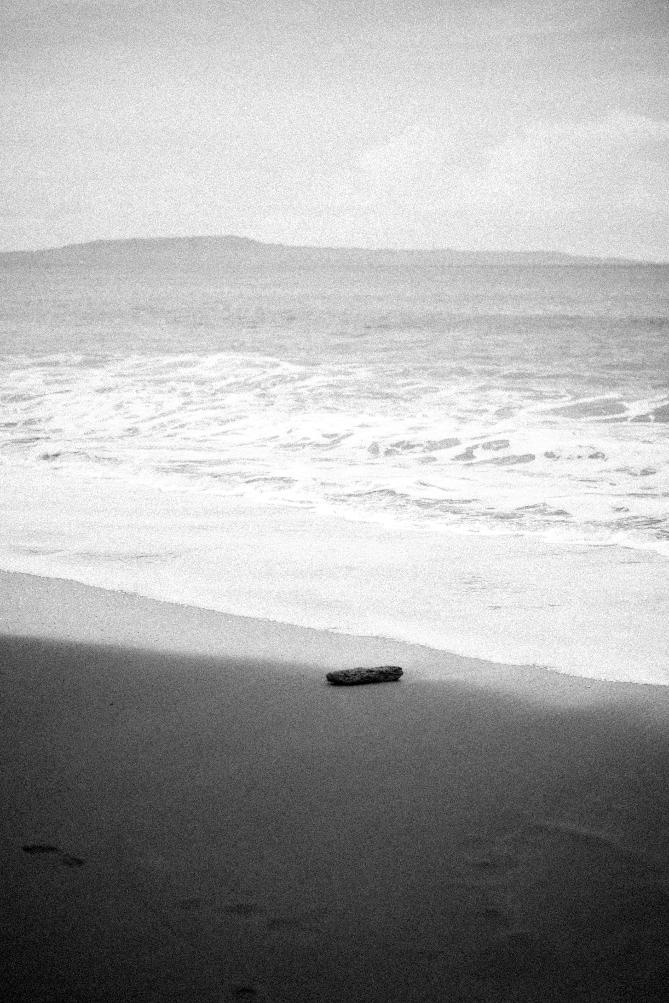 Violetta. Alena Gribkova