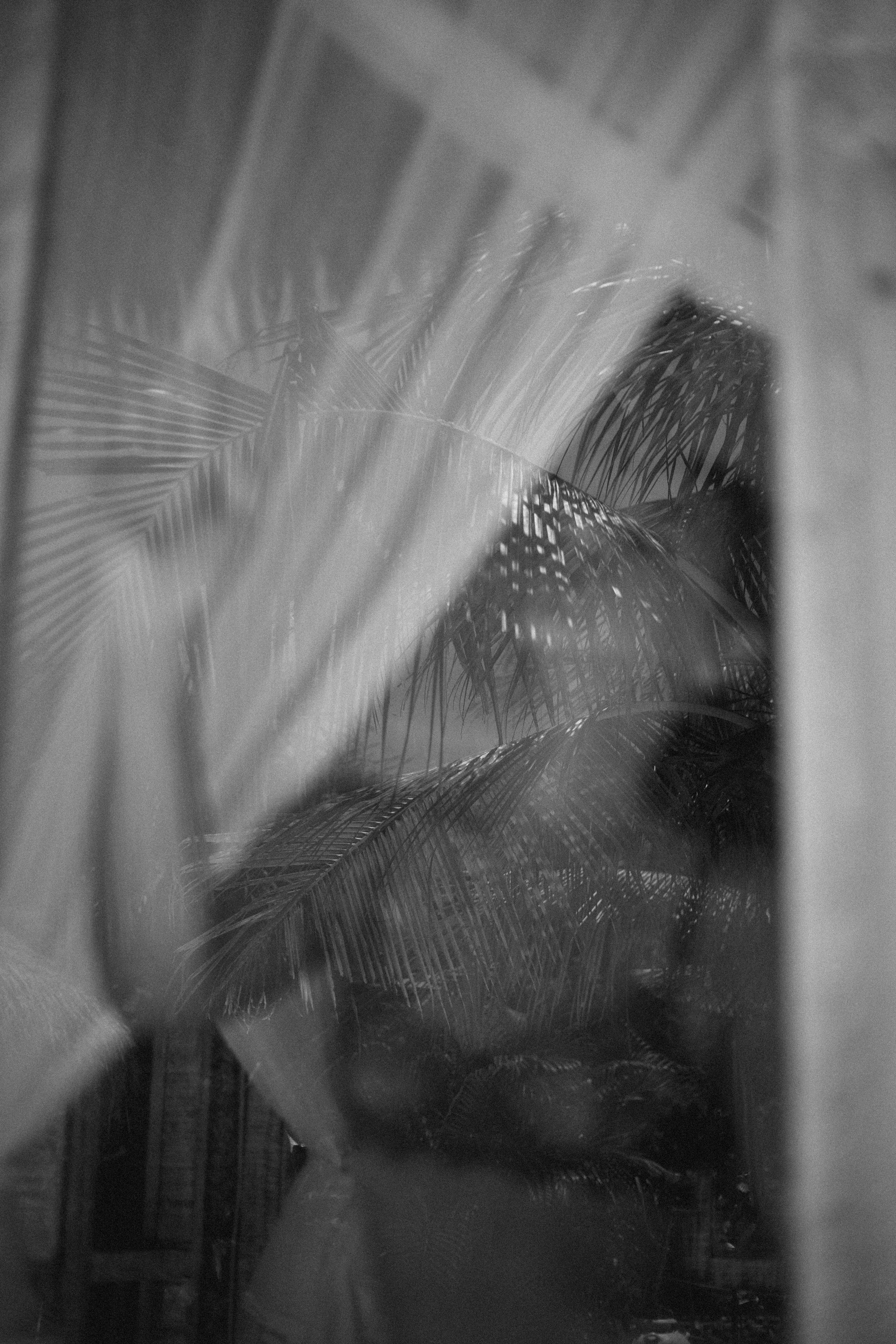 Evgenia. Alena Gribkova