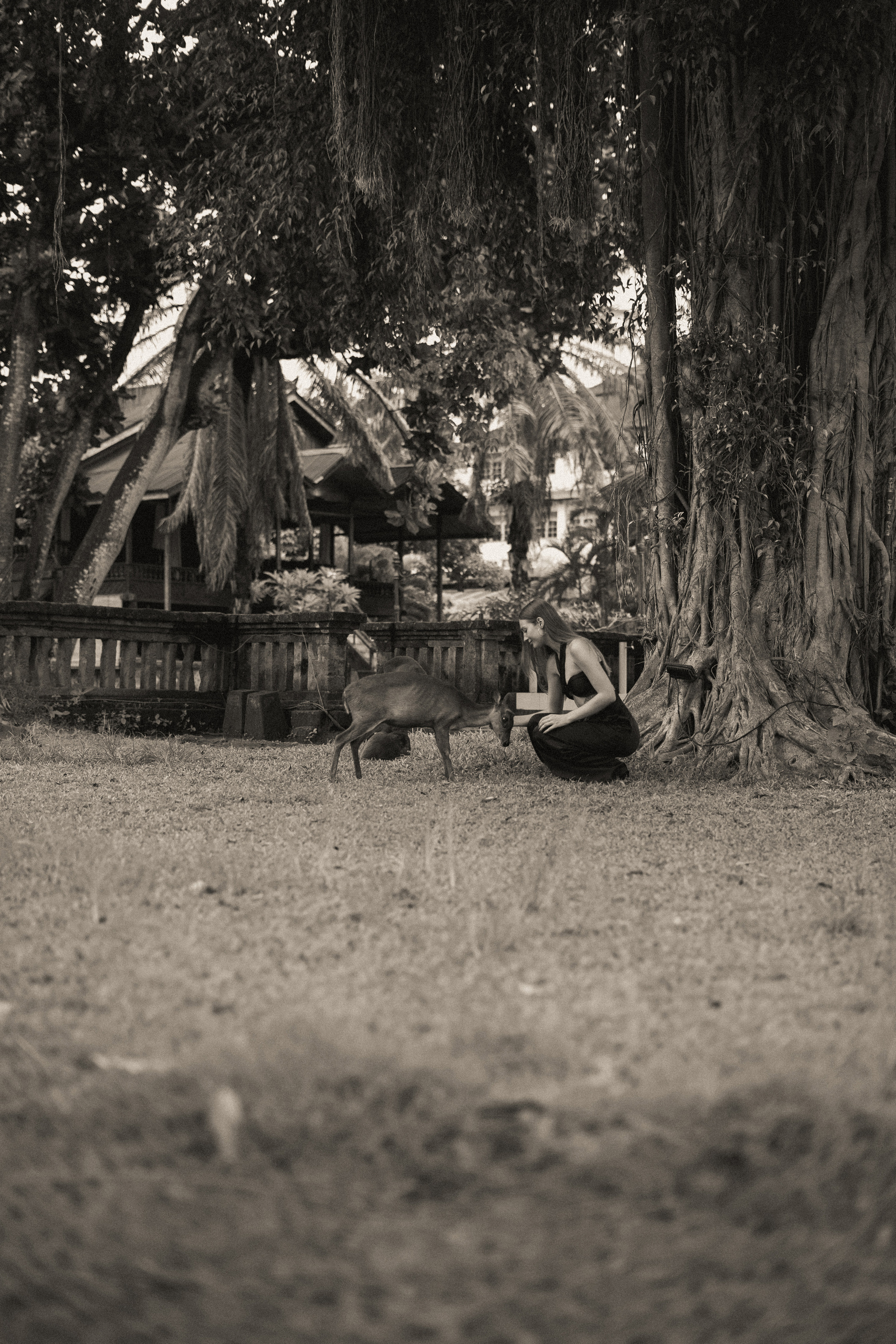 Alisa. Alena Gribkova