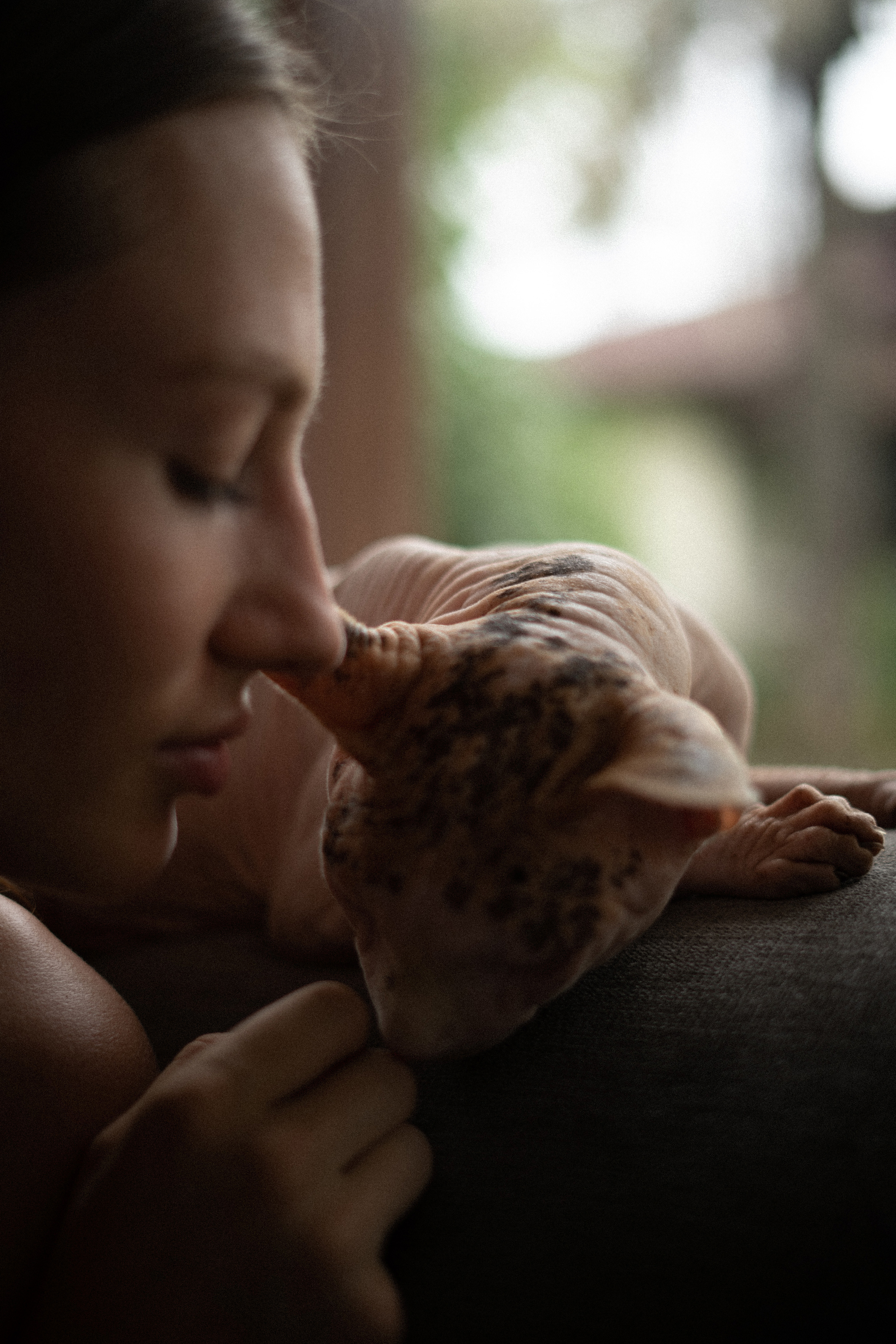 Alisa. Alena Gribkova