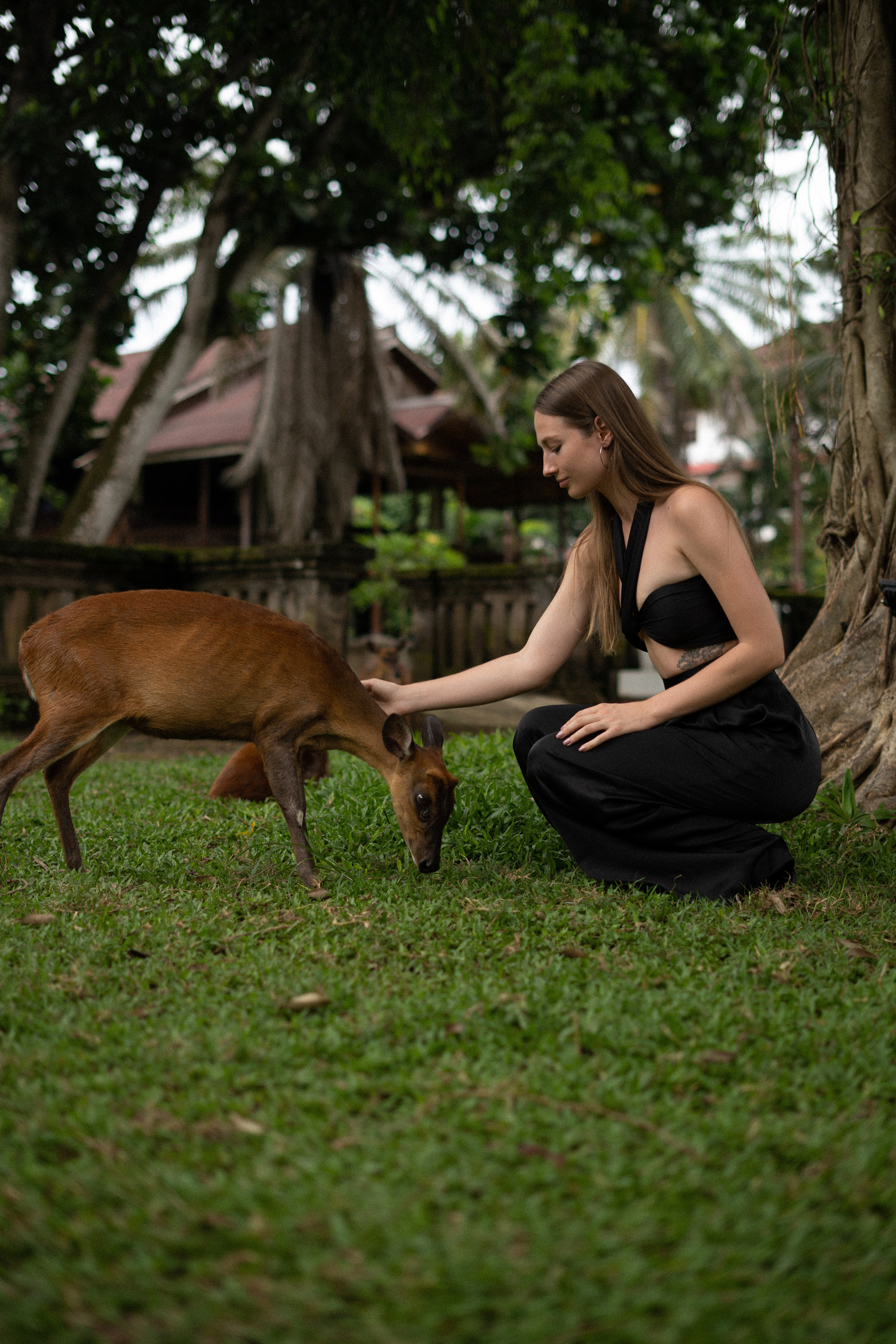 Alisa. Alena Gribkova