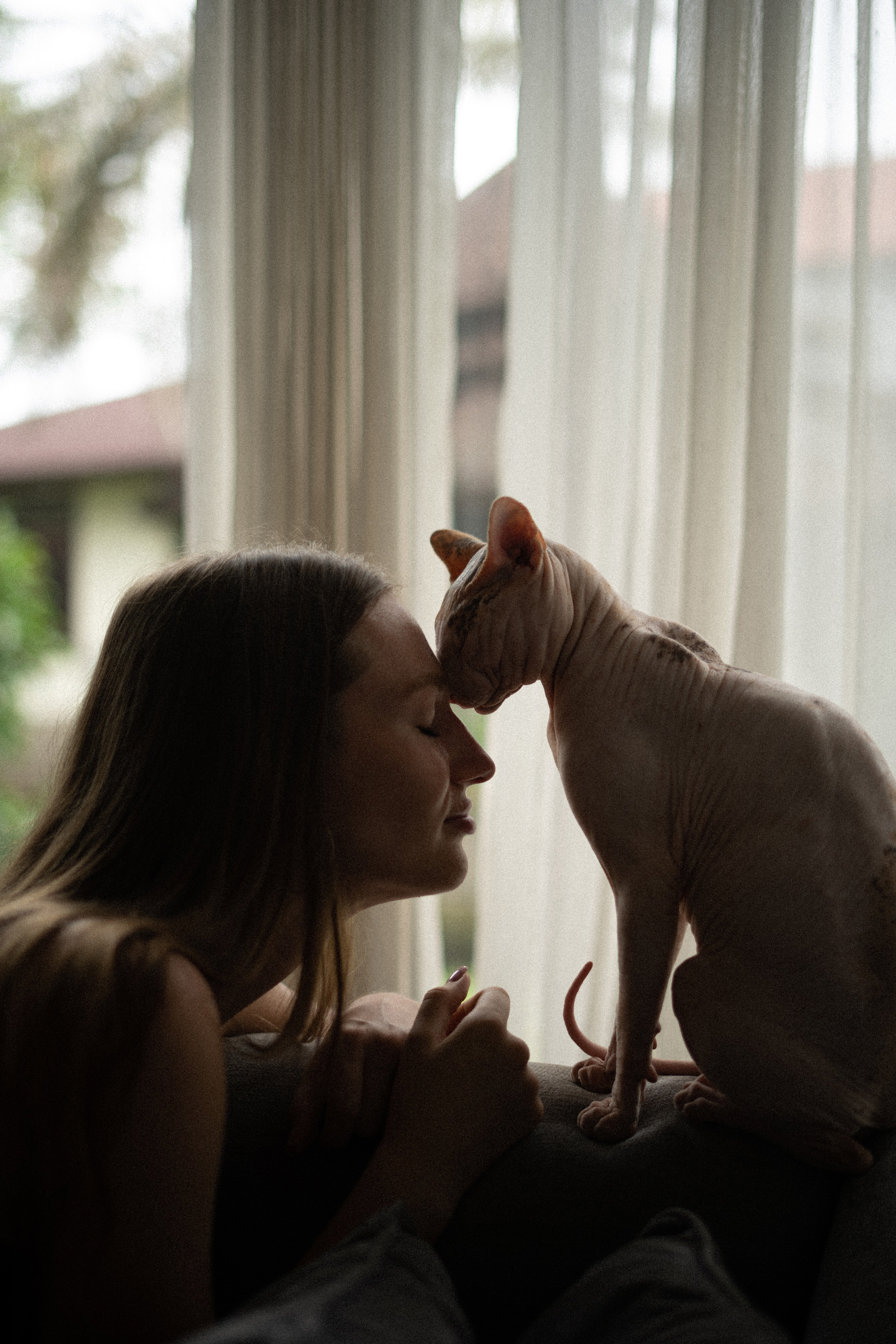 Alisa. Alena Gribkova