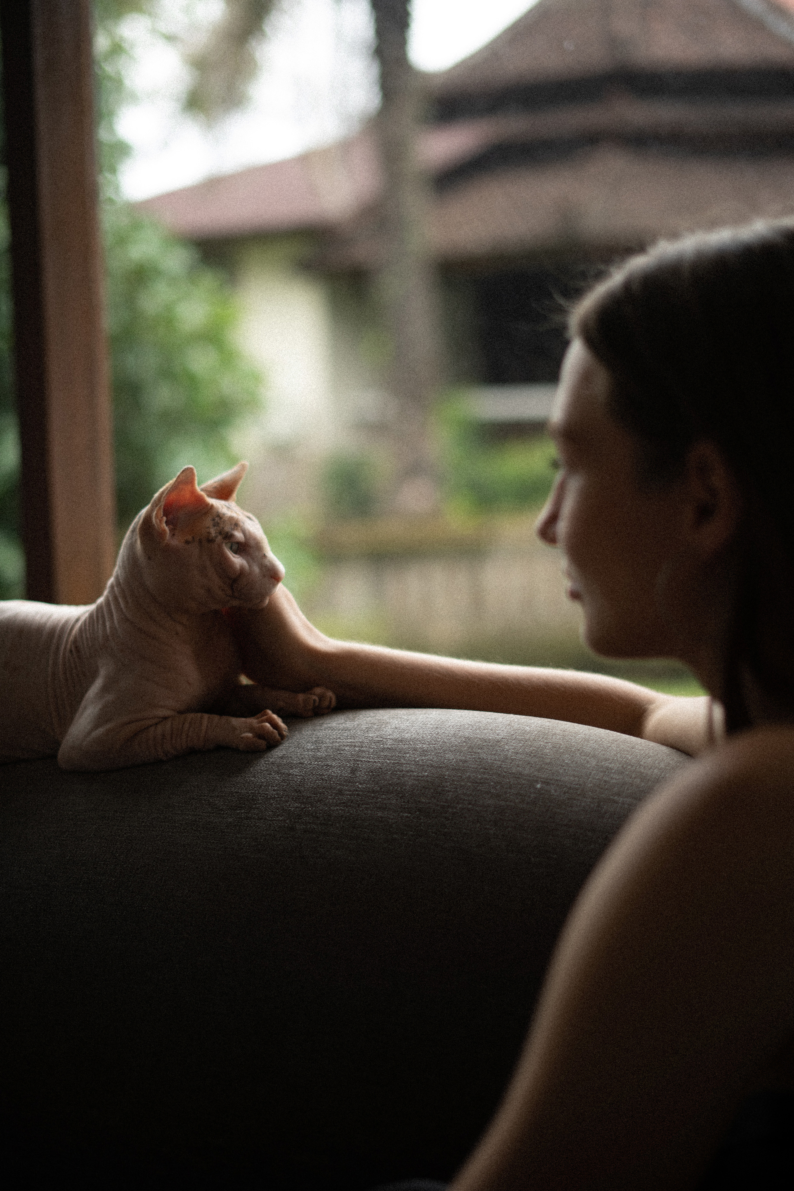 Alisa. Alena Gribkova