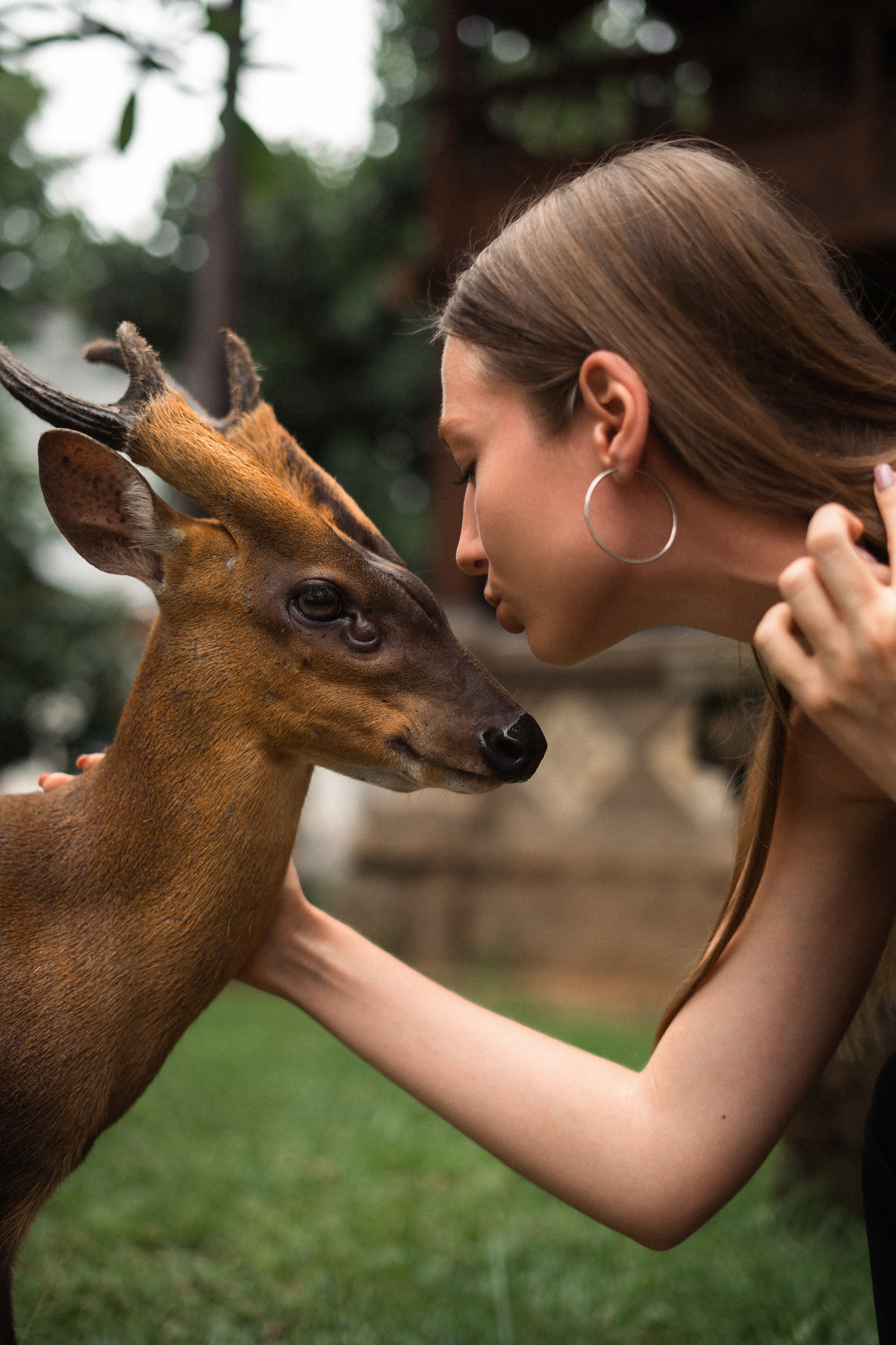 Alisa. Alena Gribkova