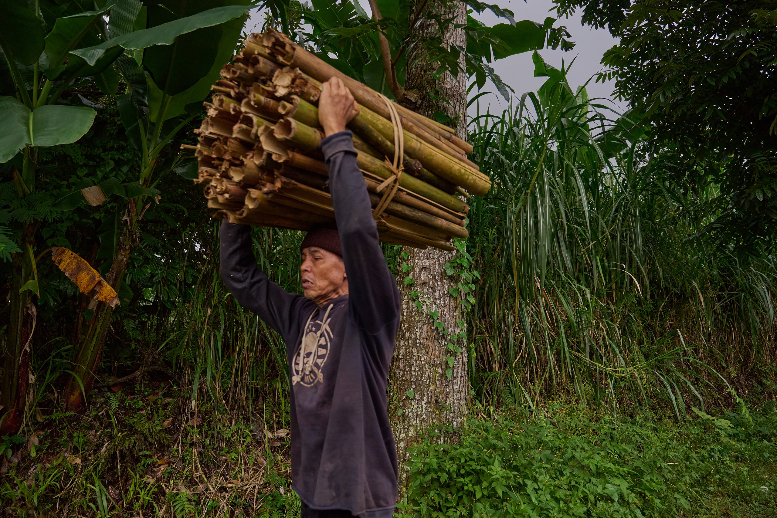 Жизнь, люди, стрит, вокруг, животные, на улице. Яркие фото на Чёрном море