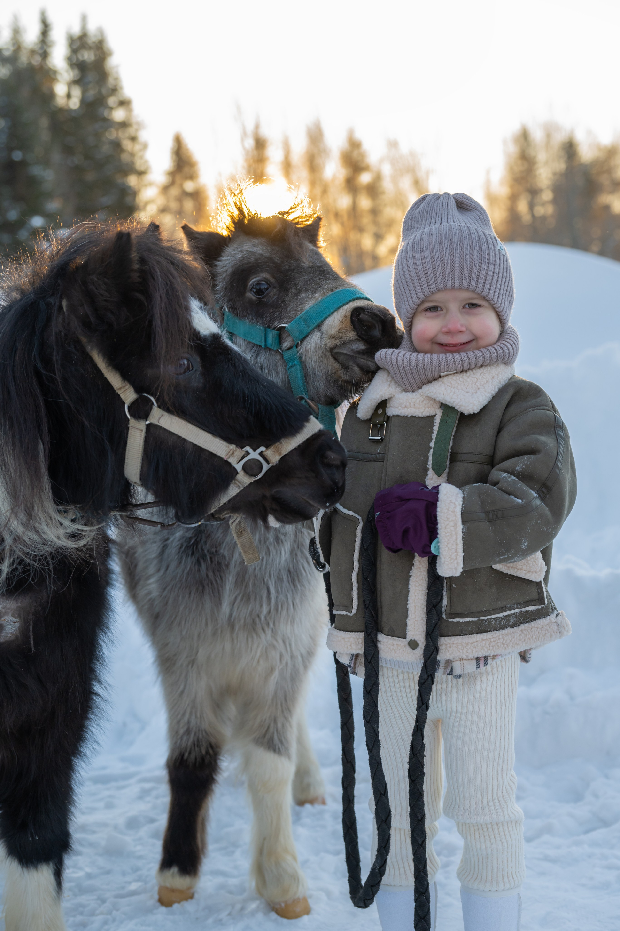Конные прогулки. Фотограф в Санкт-Петербурге Александра Ладыгина
