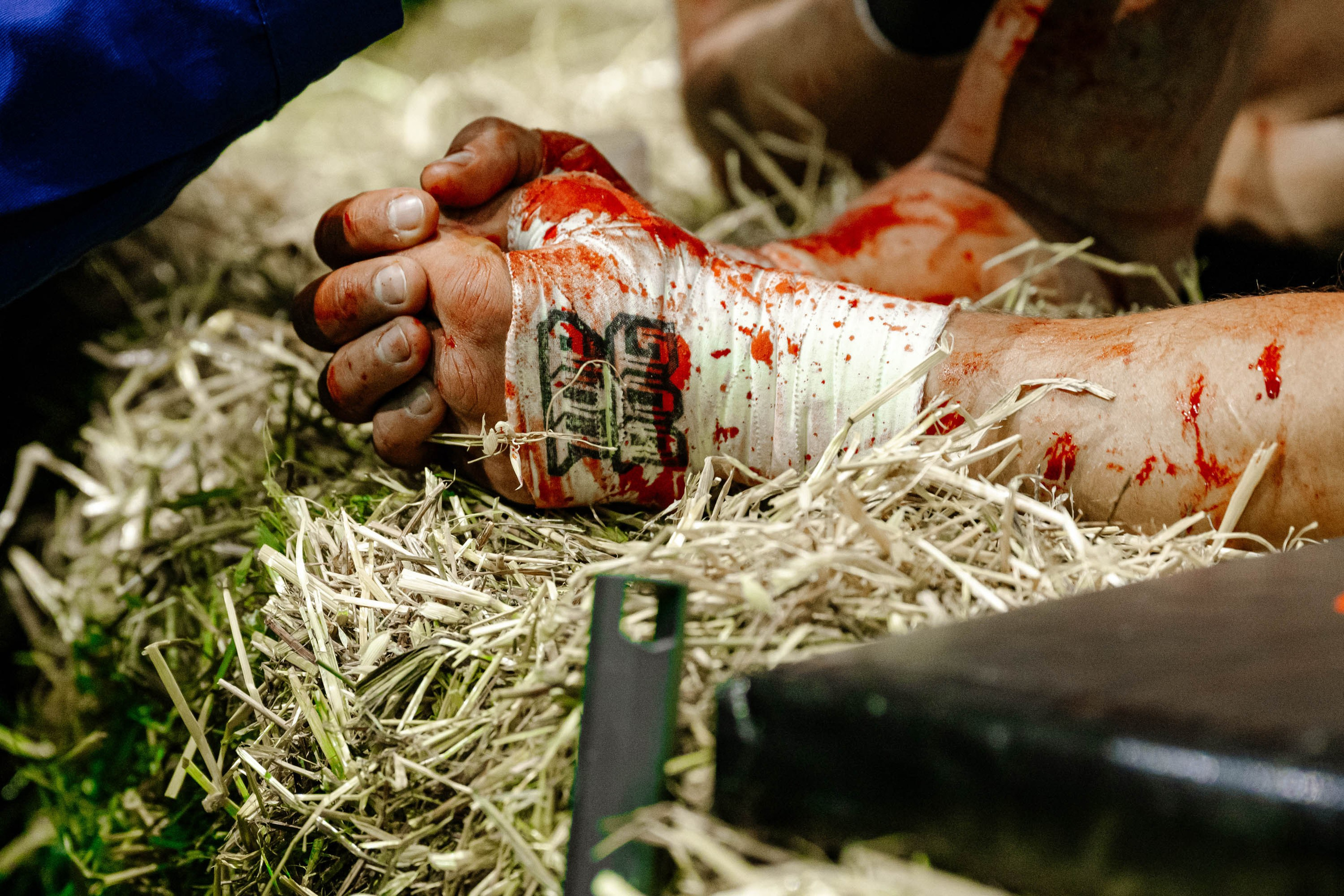 TOP DOG. Максим Комаров — Профессиональный фотограф