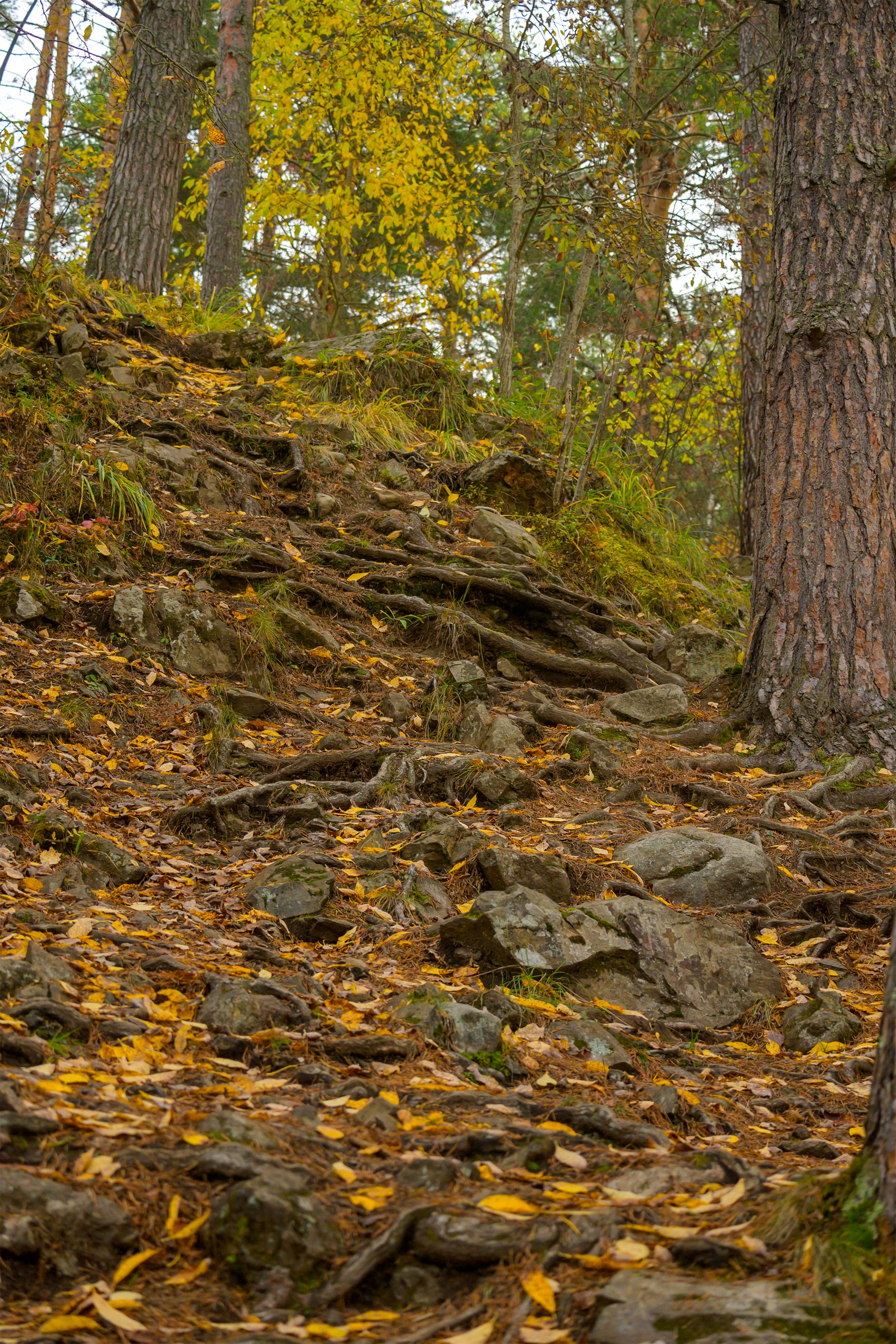 Пейзажики. Фотограф из Боровска в Калужской области