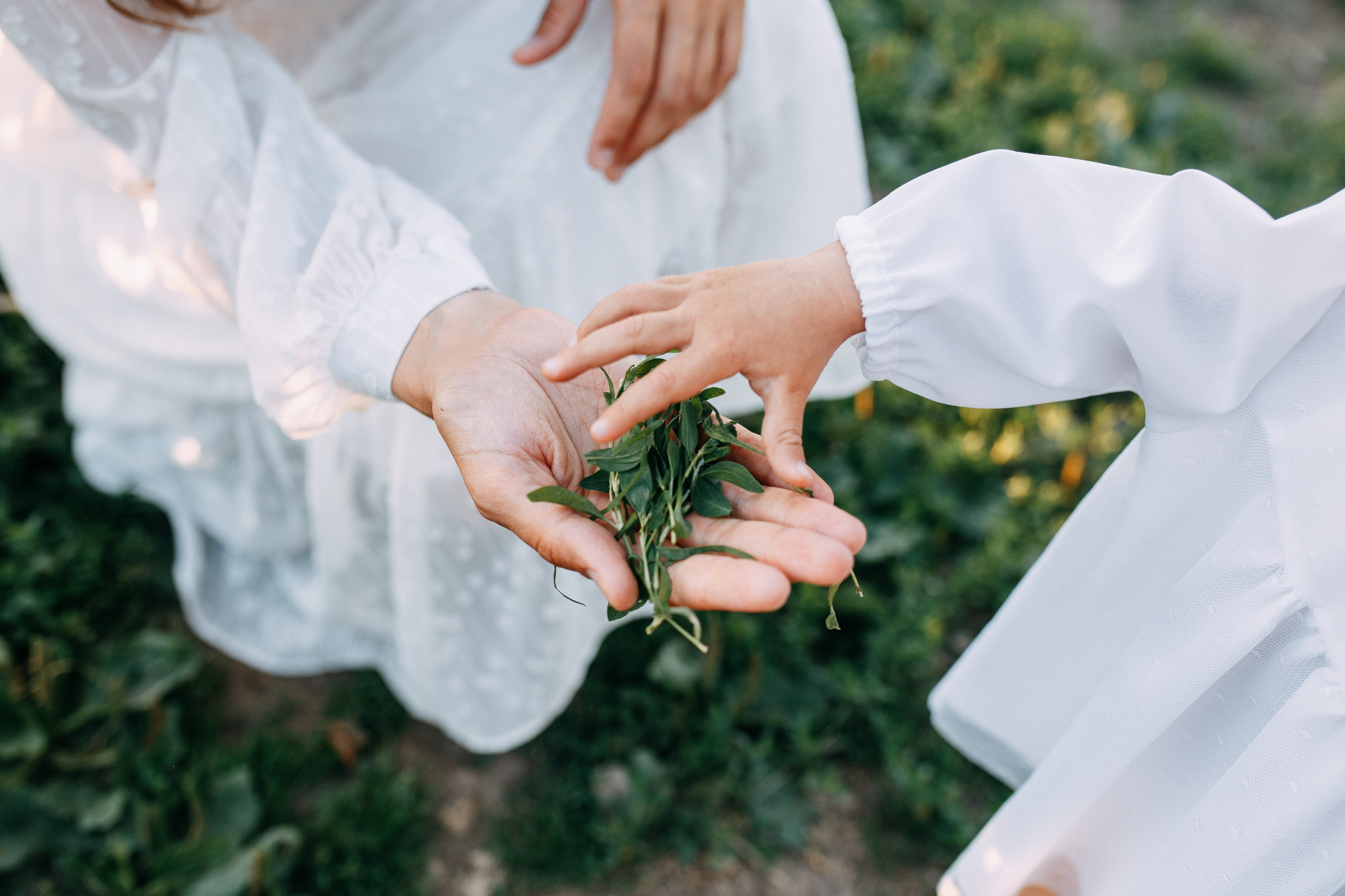 Алина. Фотопродакшн продающего контента