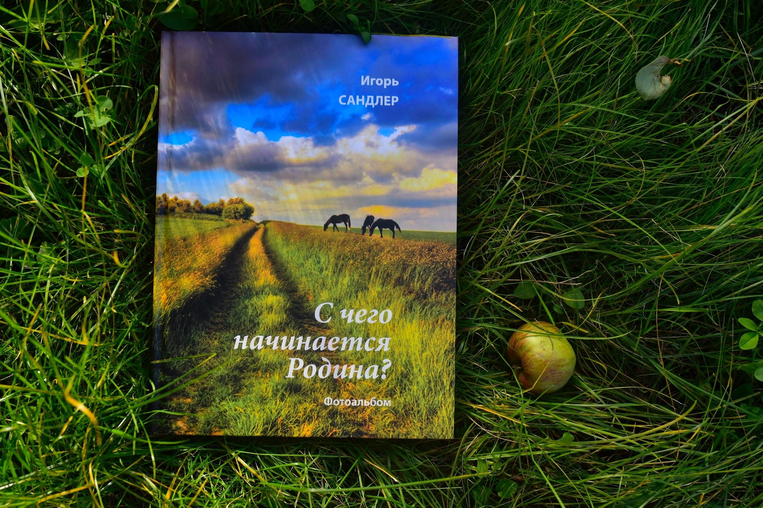 Три фотоработы попали в книгу, посвященную 110-летию со дня рождения М. Л. Матусовского. Фотографии Лены Соколовой