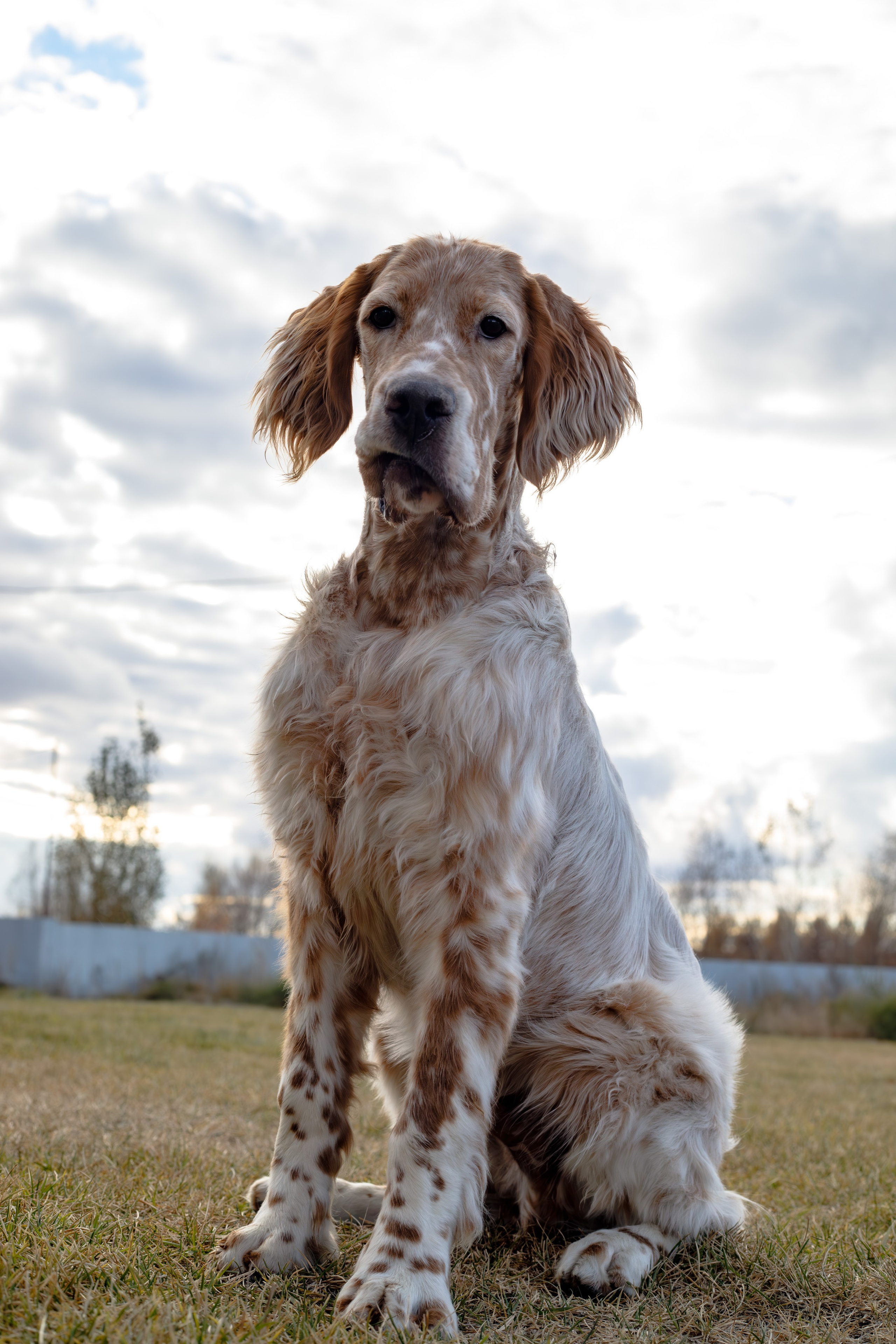 Андрей и Милан. Фотограф Екатерина Козловская