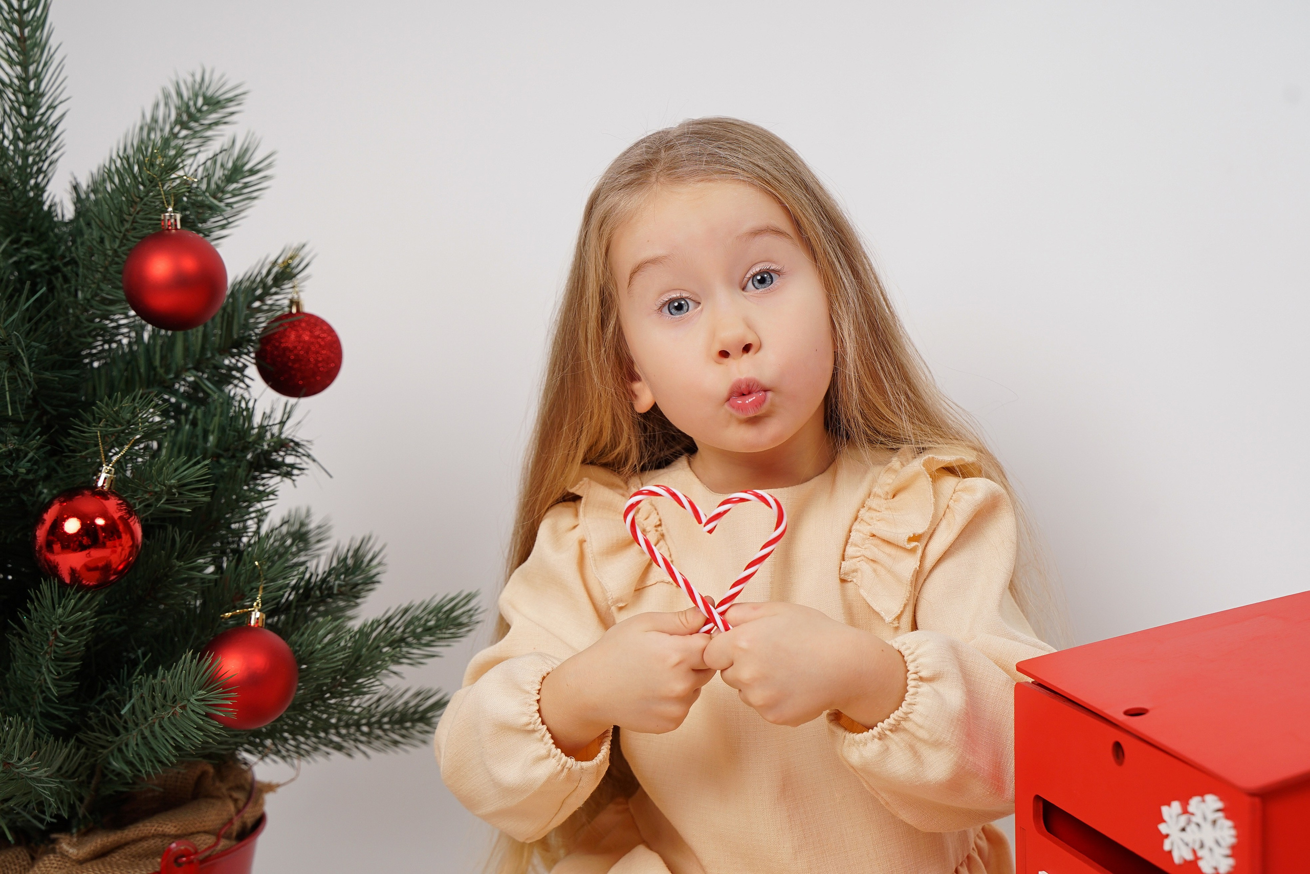 Новогдняя светлая. Студия детской фотографии