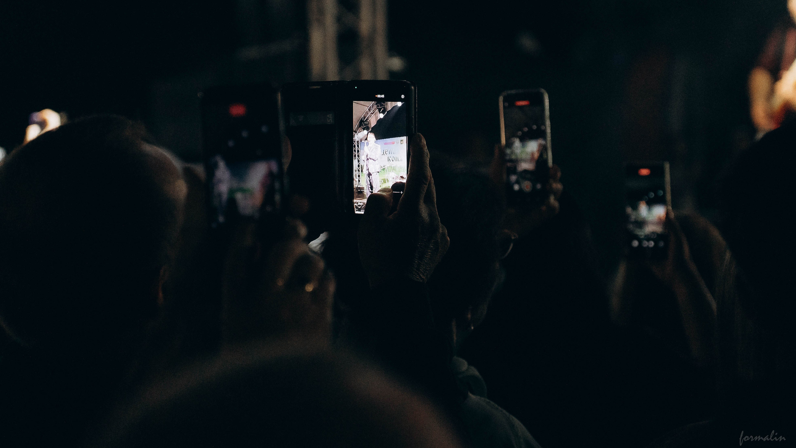 День Коня. Алиса Никитцова | Фотограф в Казани