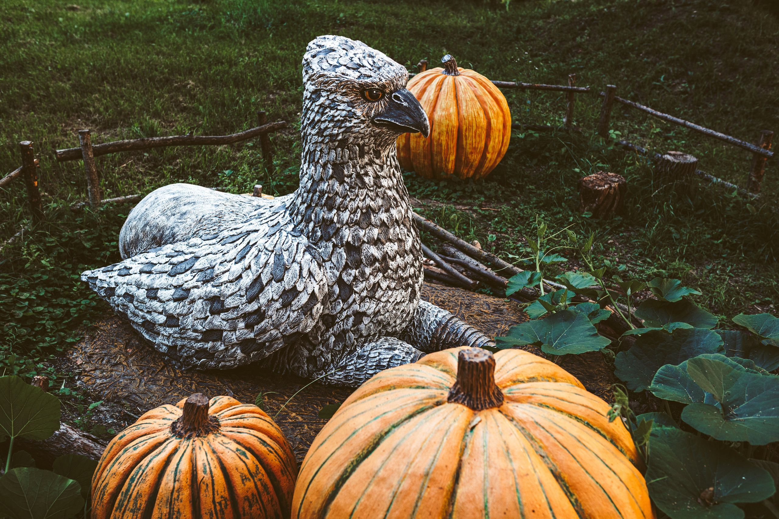 Хижина Хагрида. Свадебный фотограф Курзина Ольга | Москва