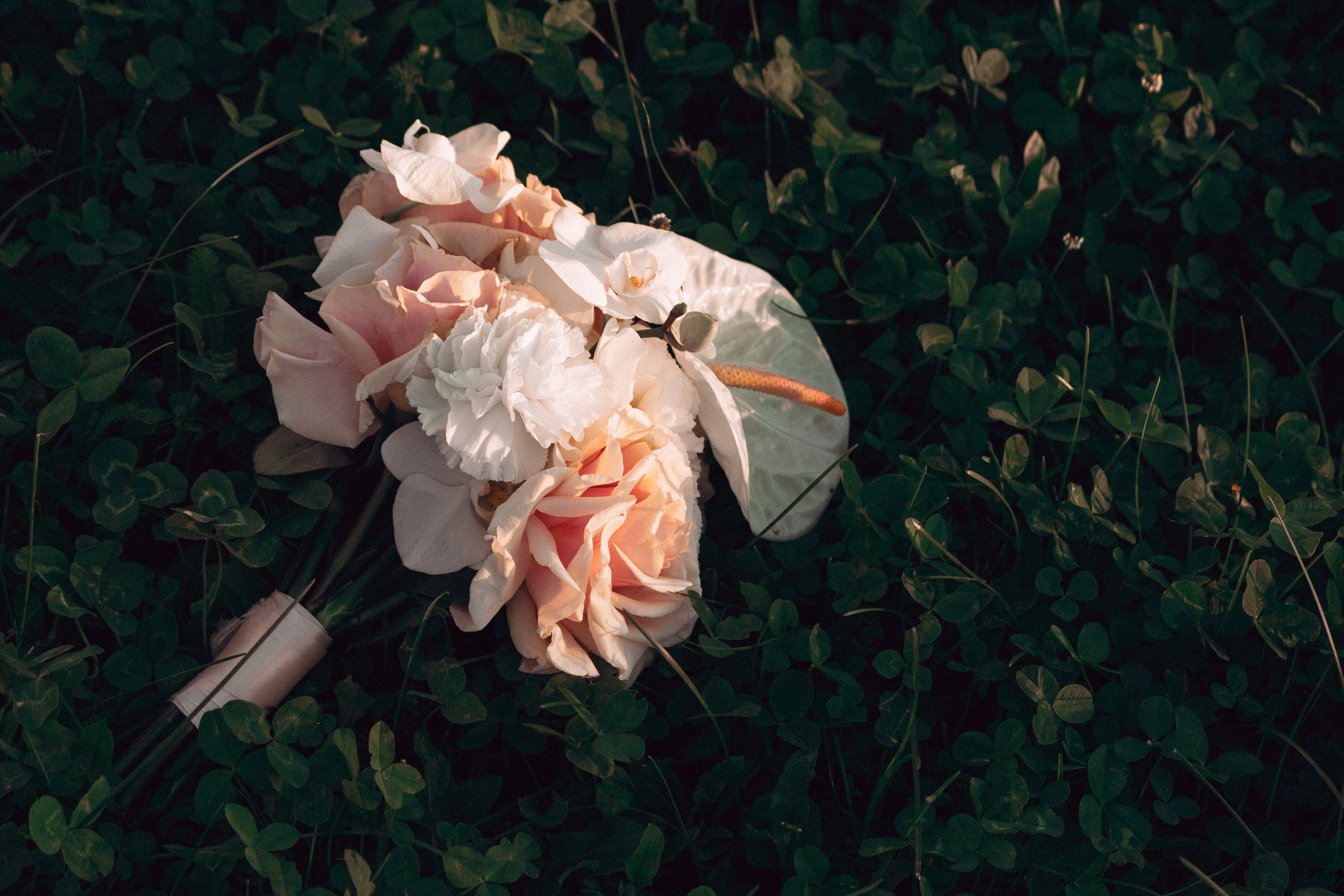 Артём ♡ Дарья. Фотограф и видеограф в Бугульме Аня Трутнева