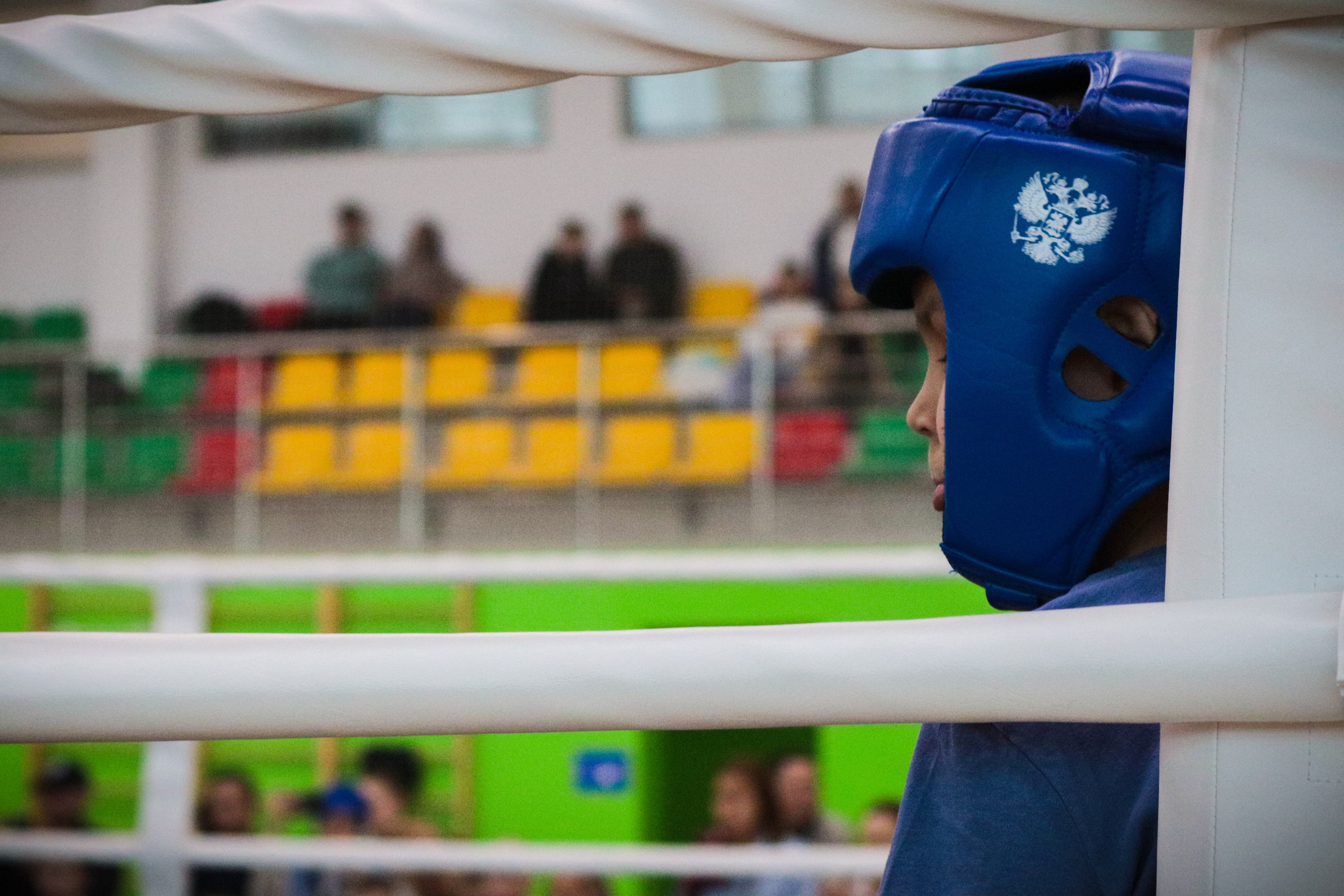 Туртир по кикбоксингу. Фотограф и видеограф в Бугульме Аня Трутнева