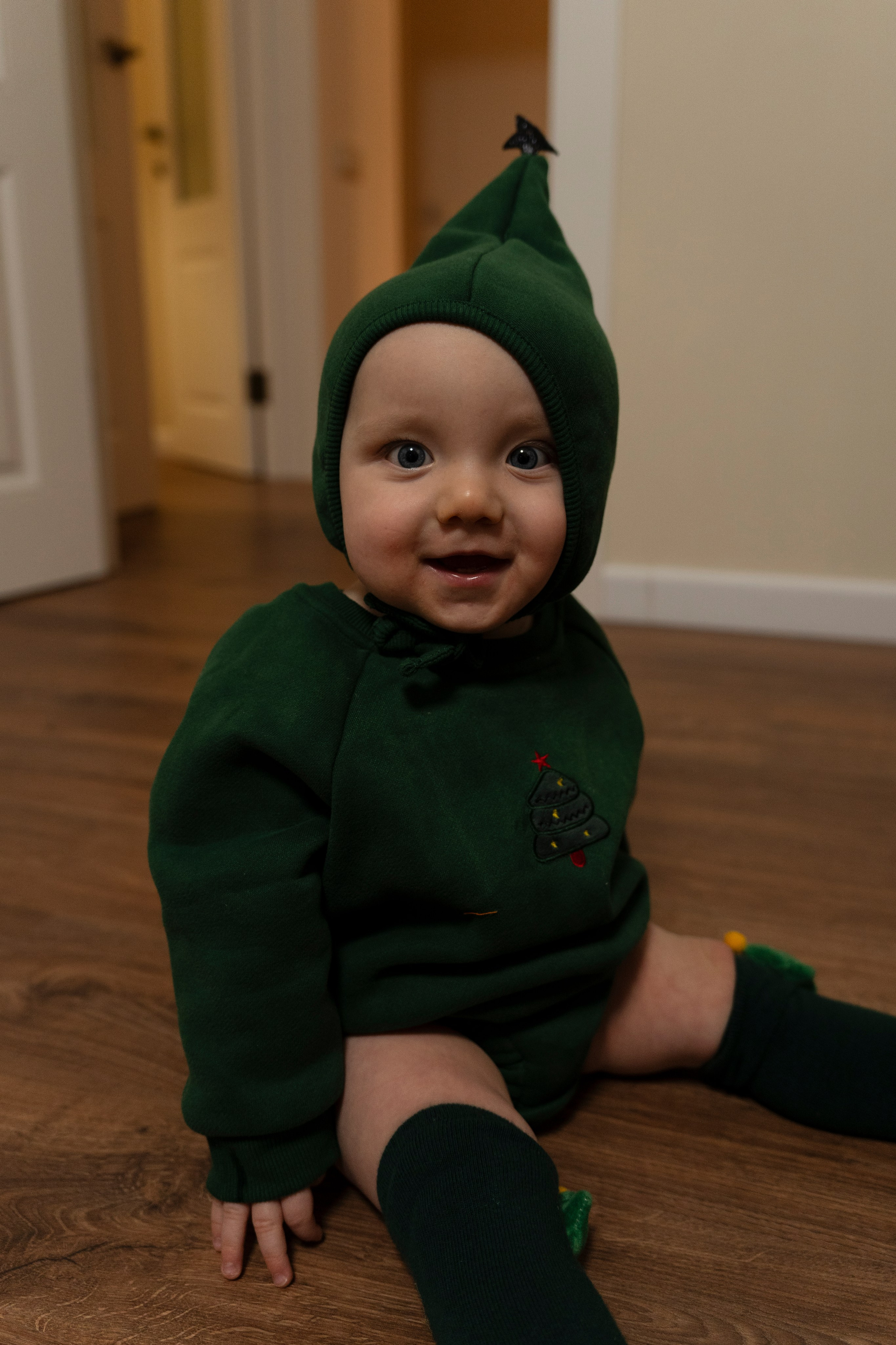 Новогодние тройняшки. Главная