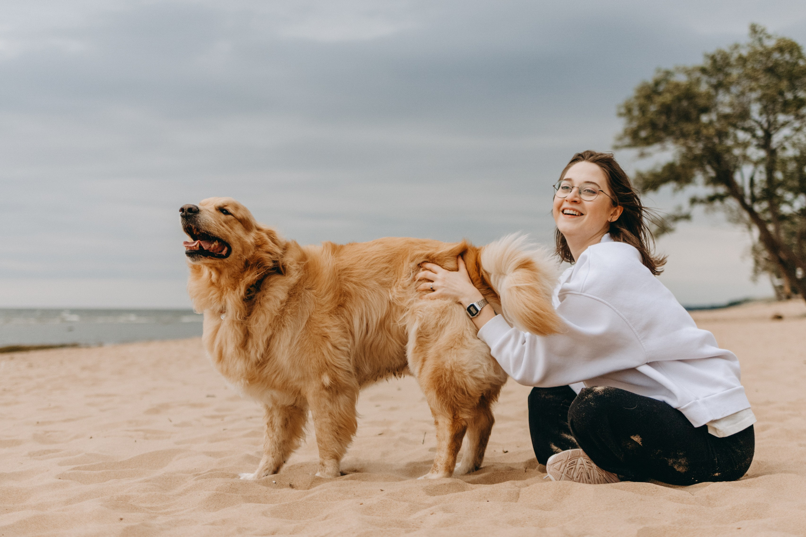 Фоси и его семьи. Фотограф — Анималист | Санкт-Петербург