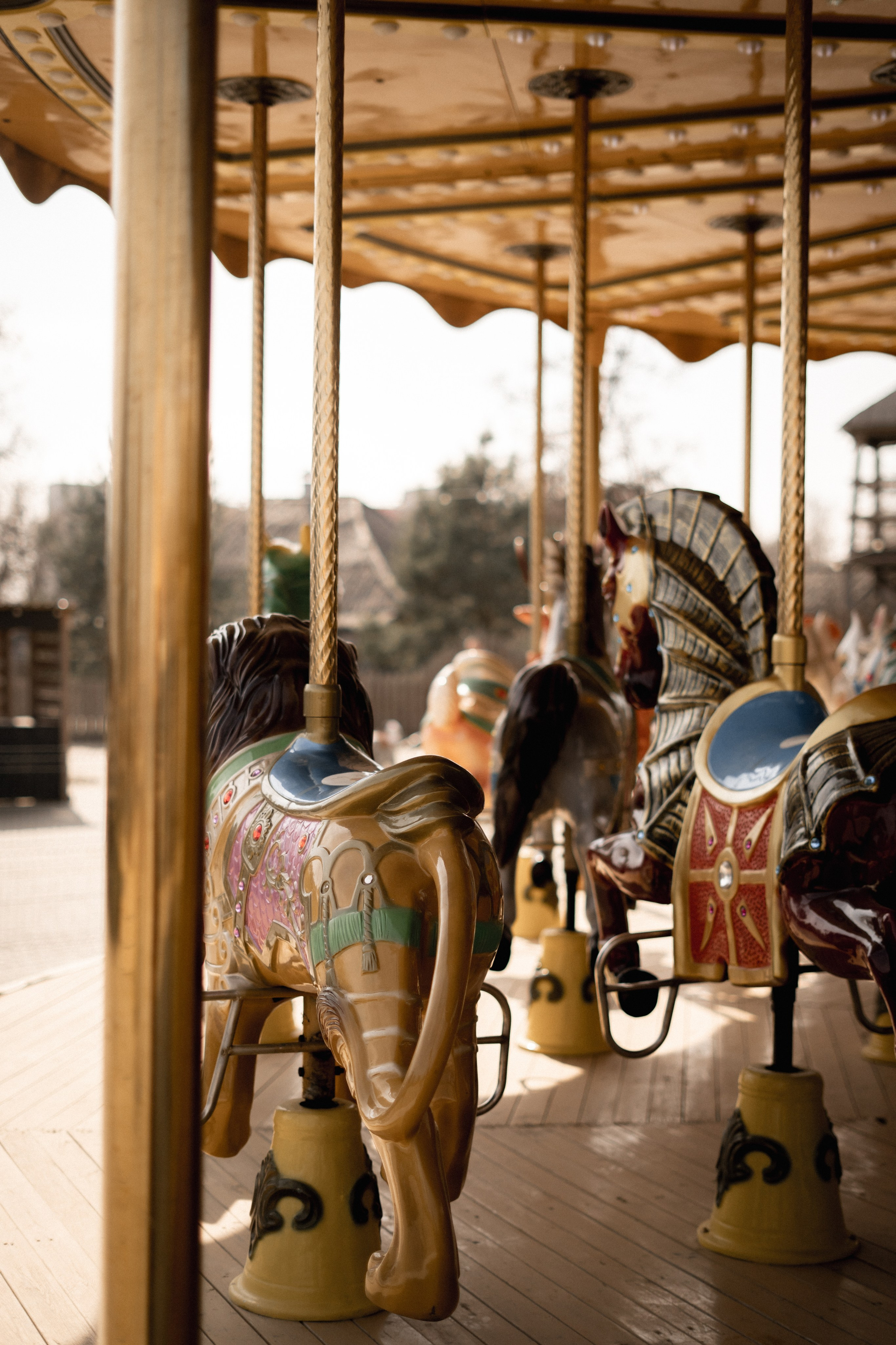 Дима Настя Василиса. Фотограф Валерия Крахмалева