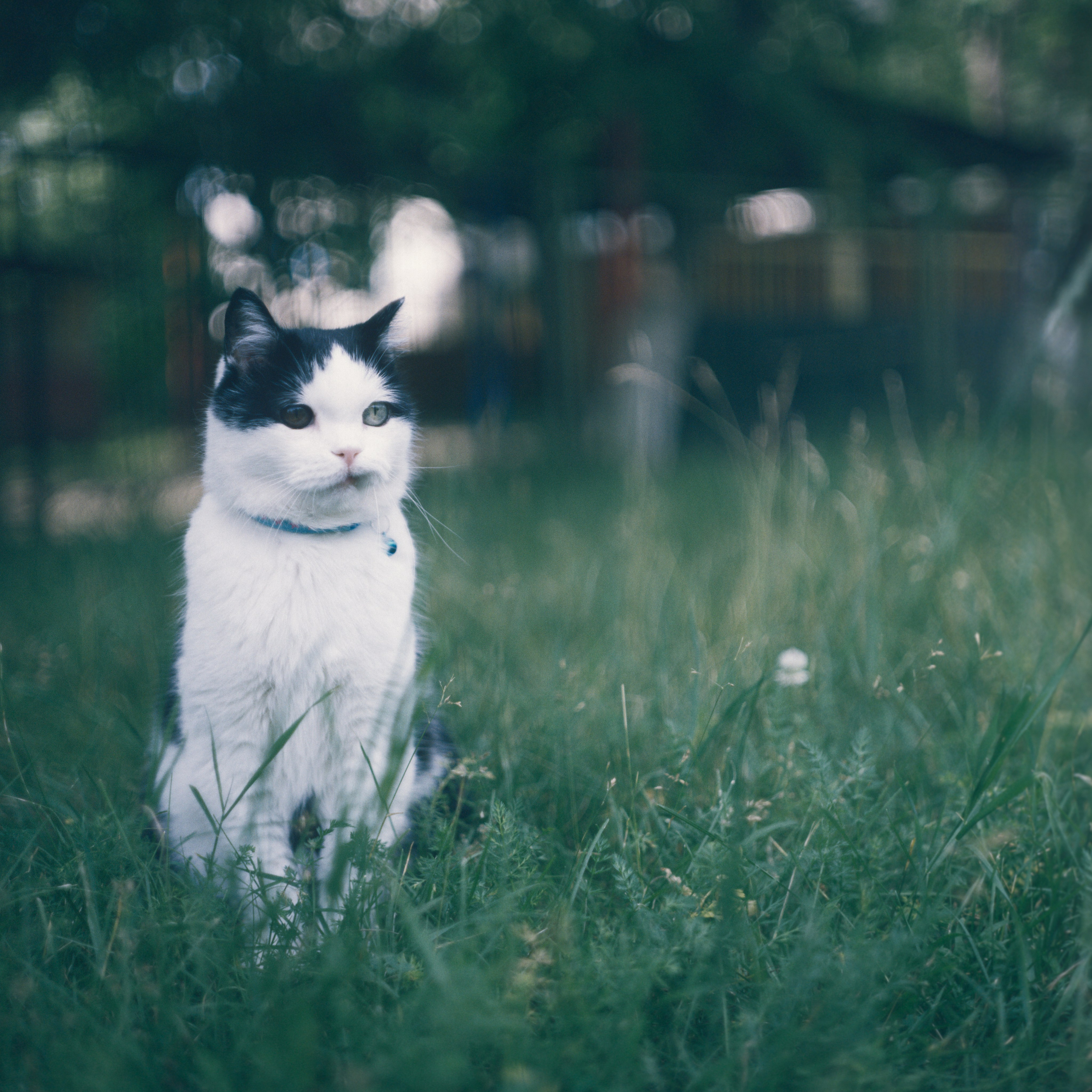 Василий. Фотограф в Санкт-Петербурге Березовский Даниил
