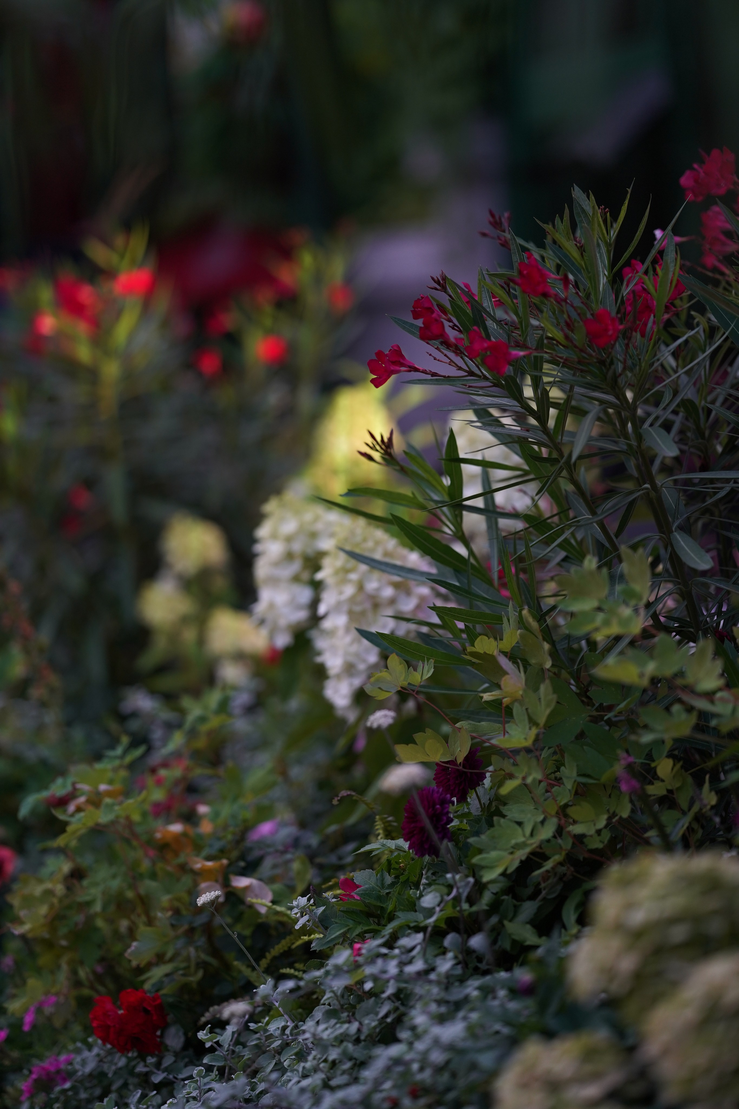 Московское чаепитие. Московские сезоны. Фотограф в Москве Мария ~Zagagul~