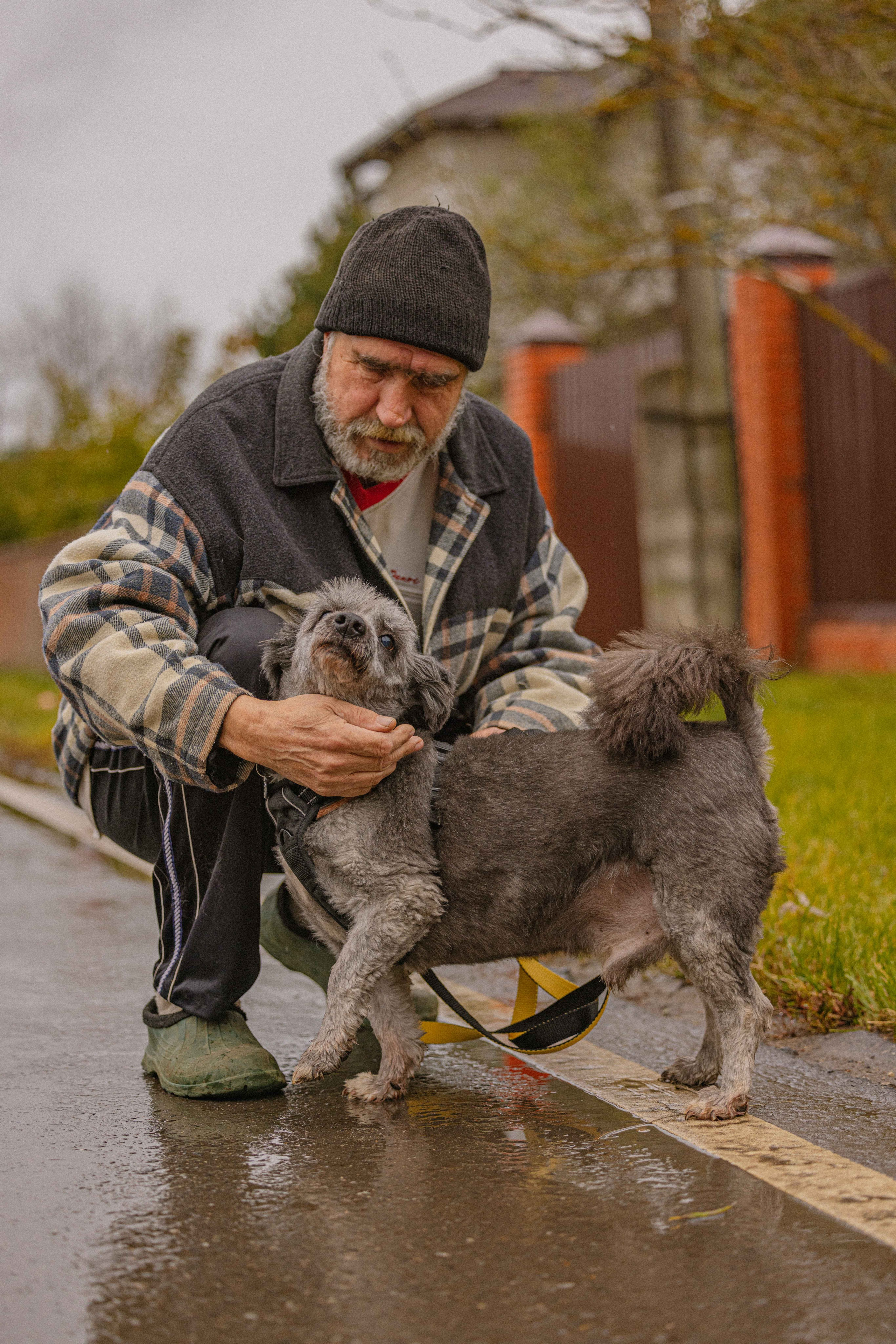 Передержка. Фотограф-анималист в Москве Лера Черноног