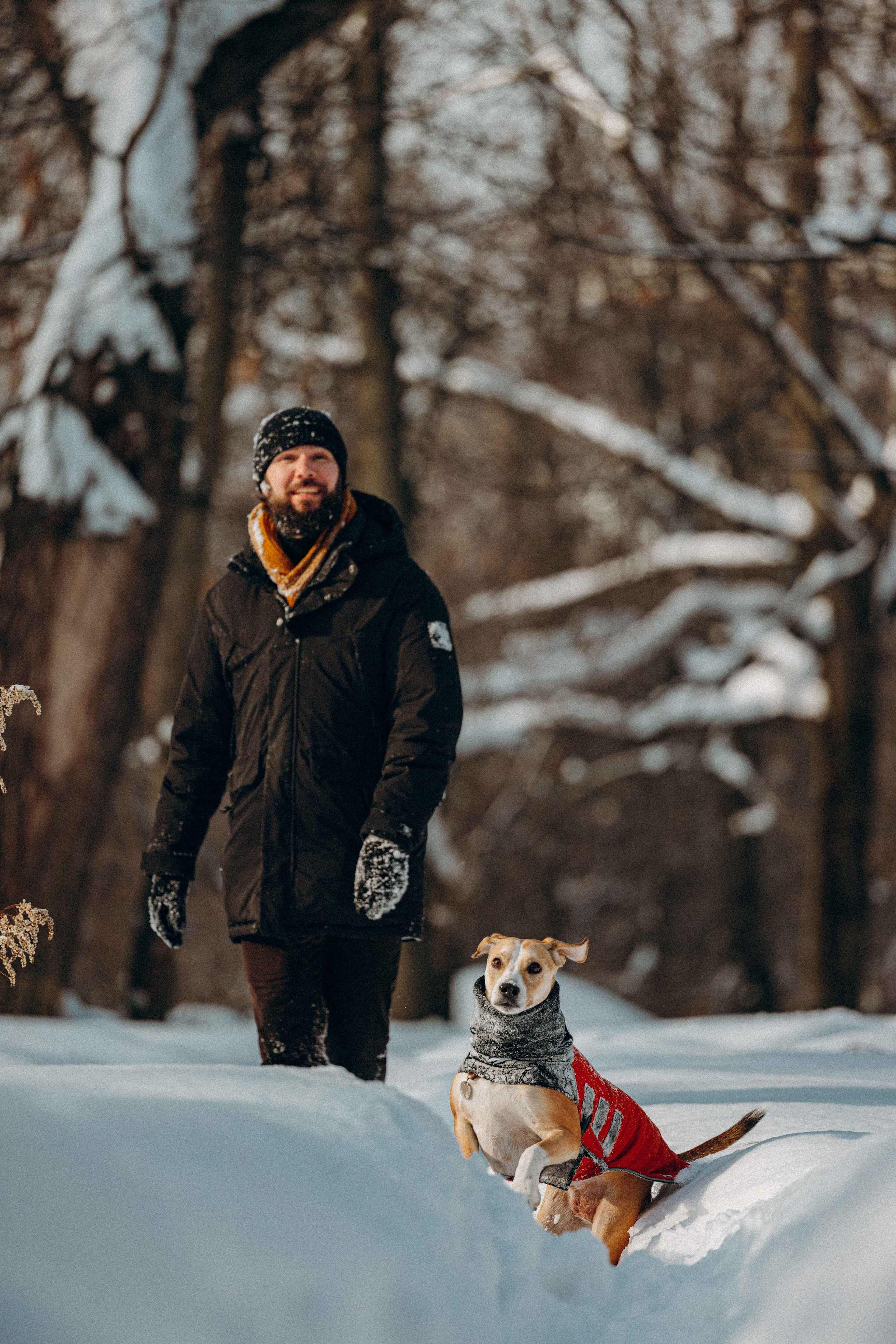 Свобода и ее семья. Фотограф-анималист в Москве Лера Черноног
