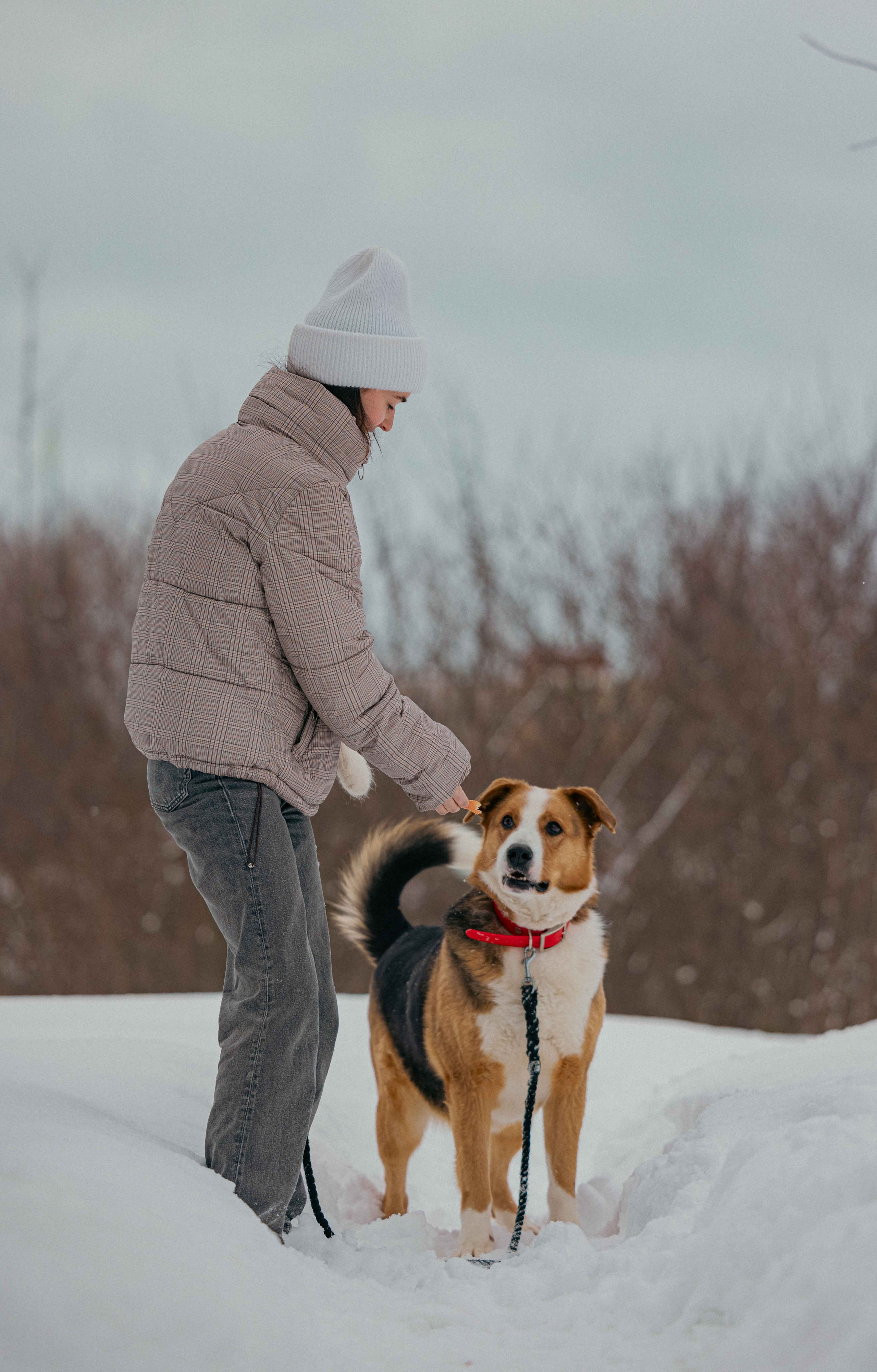 Петя. Фотограф-анималист в Москве Лера Черноног