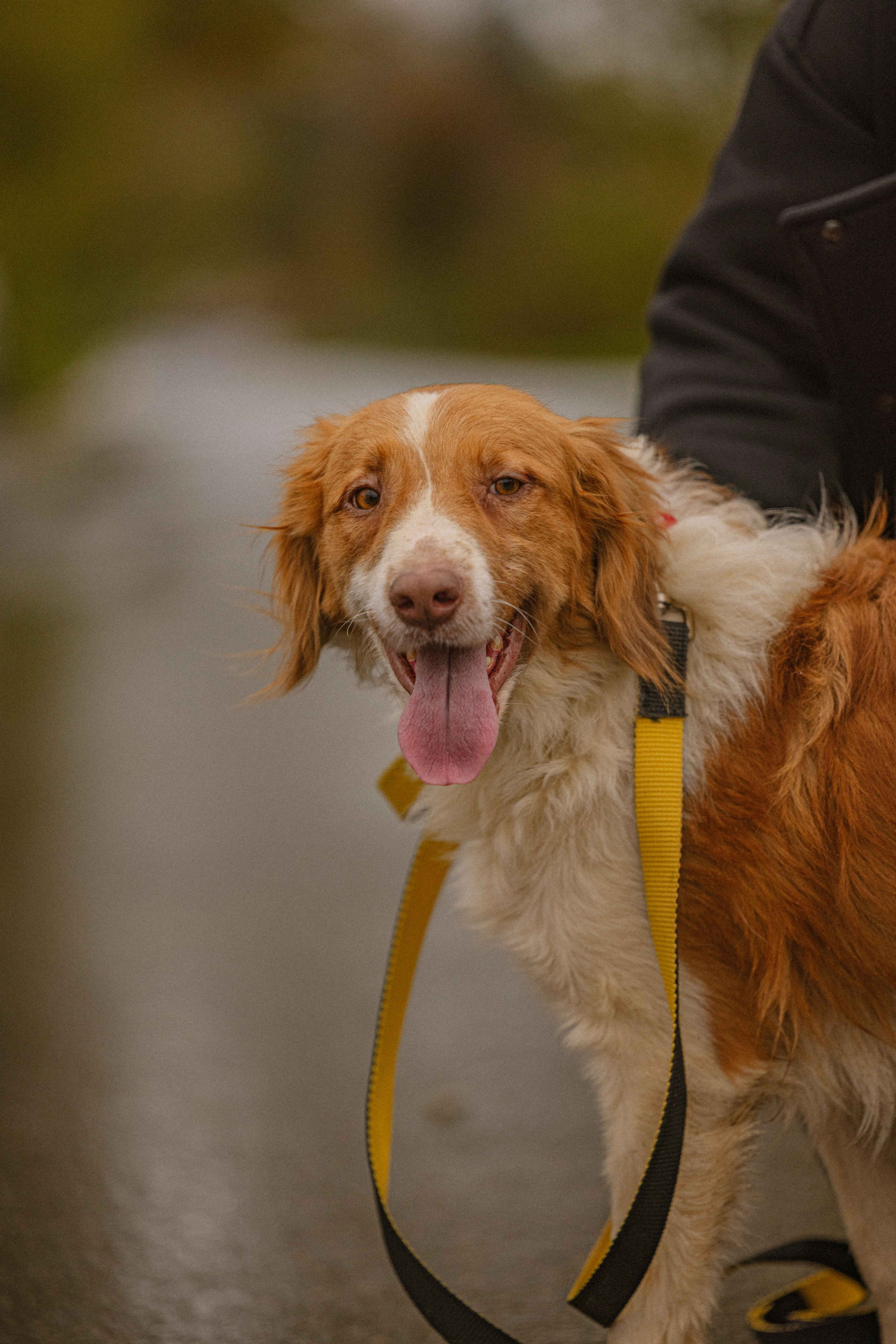 Передержка. Фотограф-анималист в Москве Лера Черноног