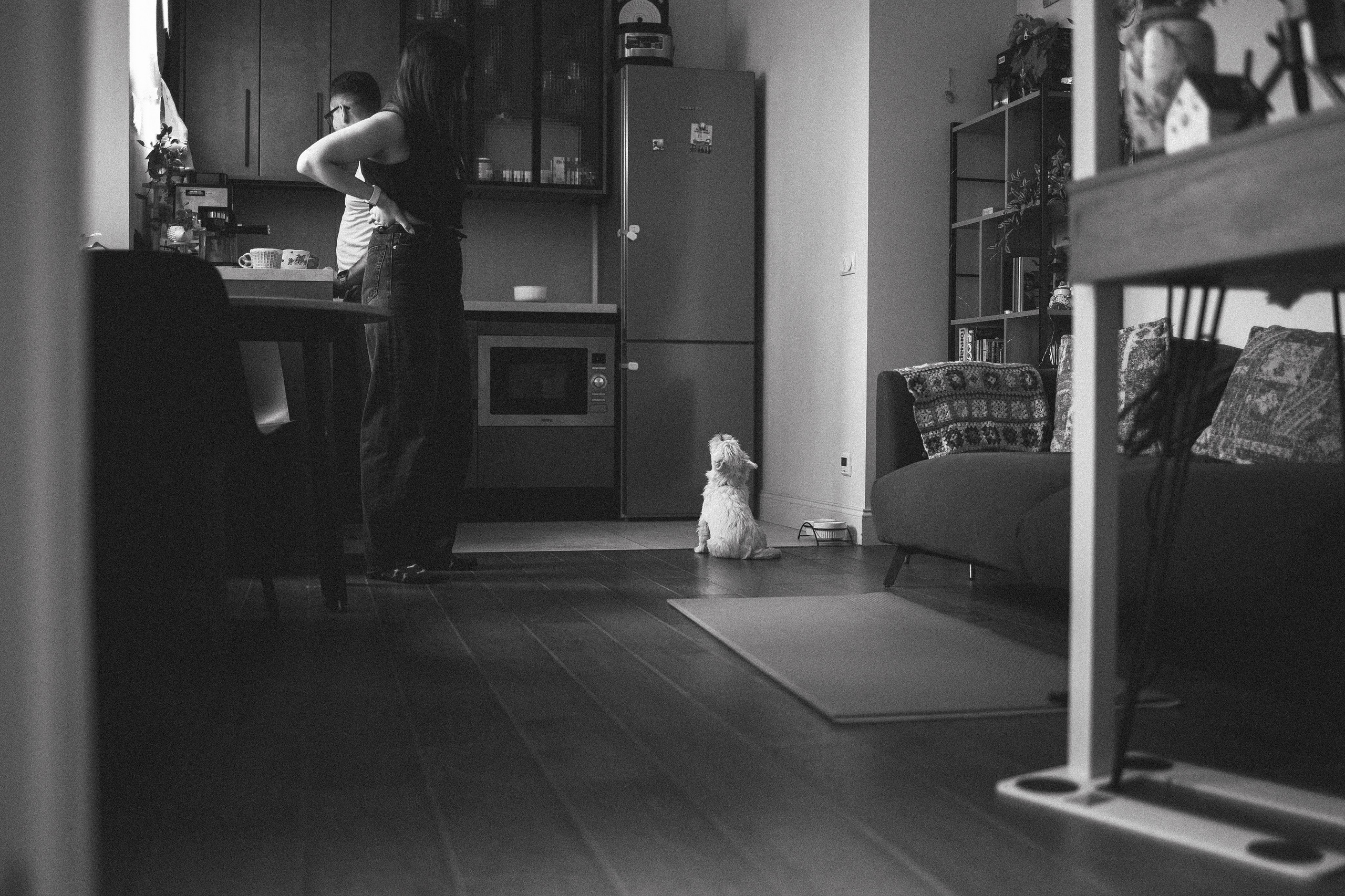 Снежуля, Мари и Саша. Фотограф анималист Анастасия Пикей