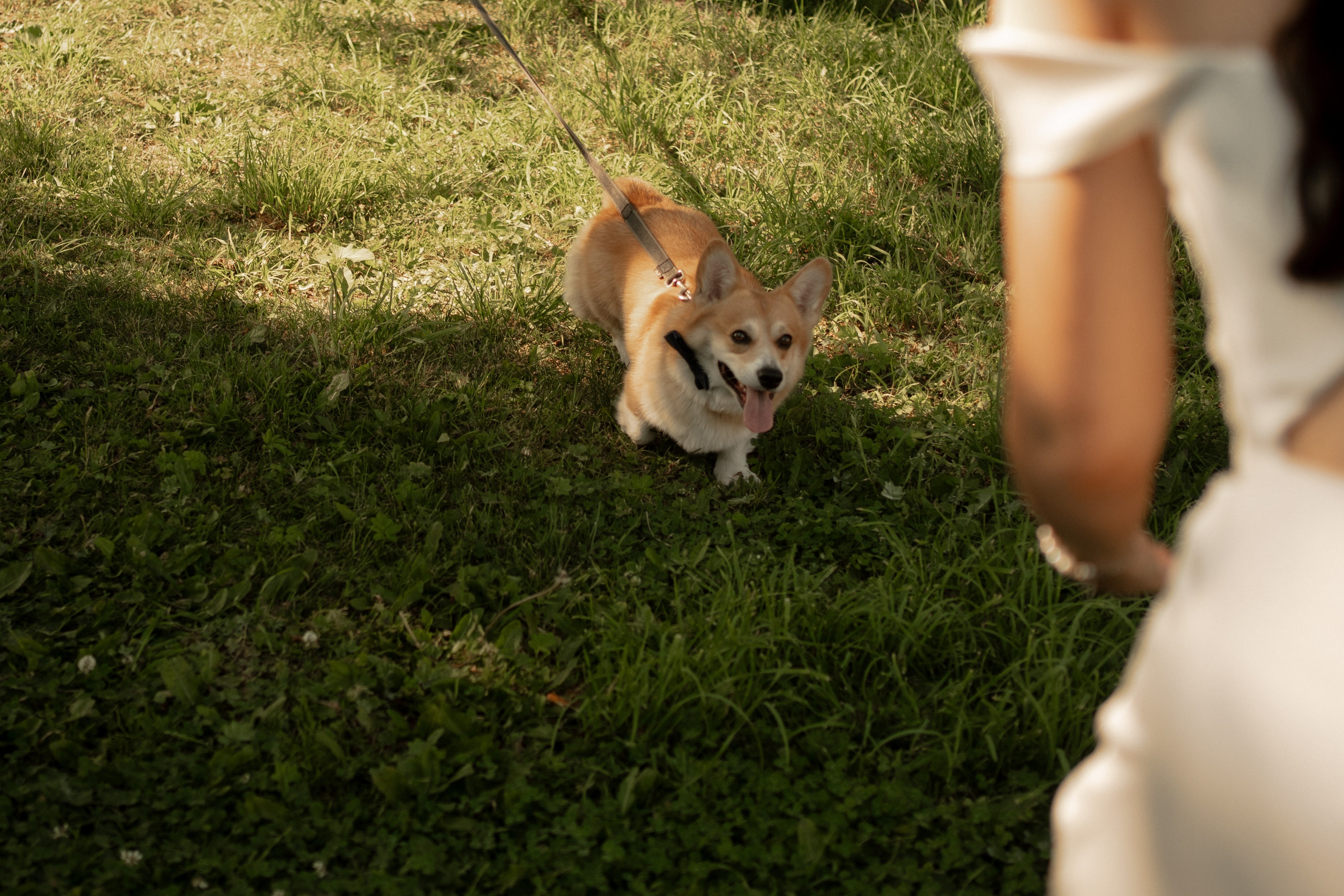 A & J. Фотограф в Архангельске