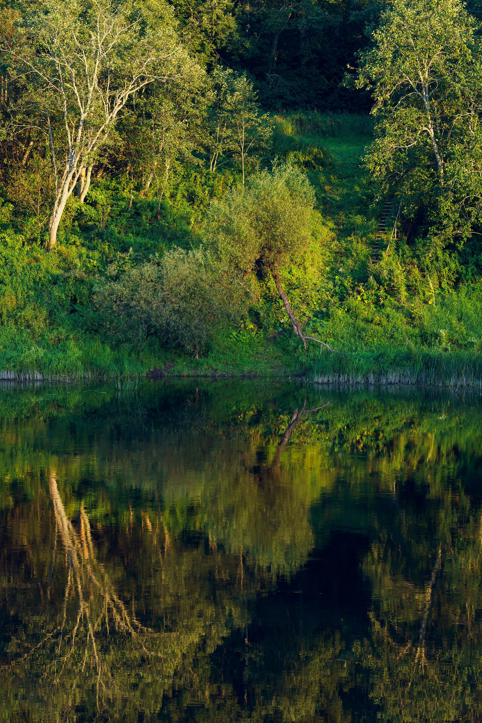 Фотографии Национальный парк Угра. Фотограф спортивные события, недвижимость, турбизнес