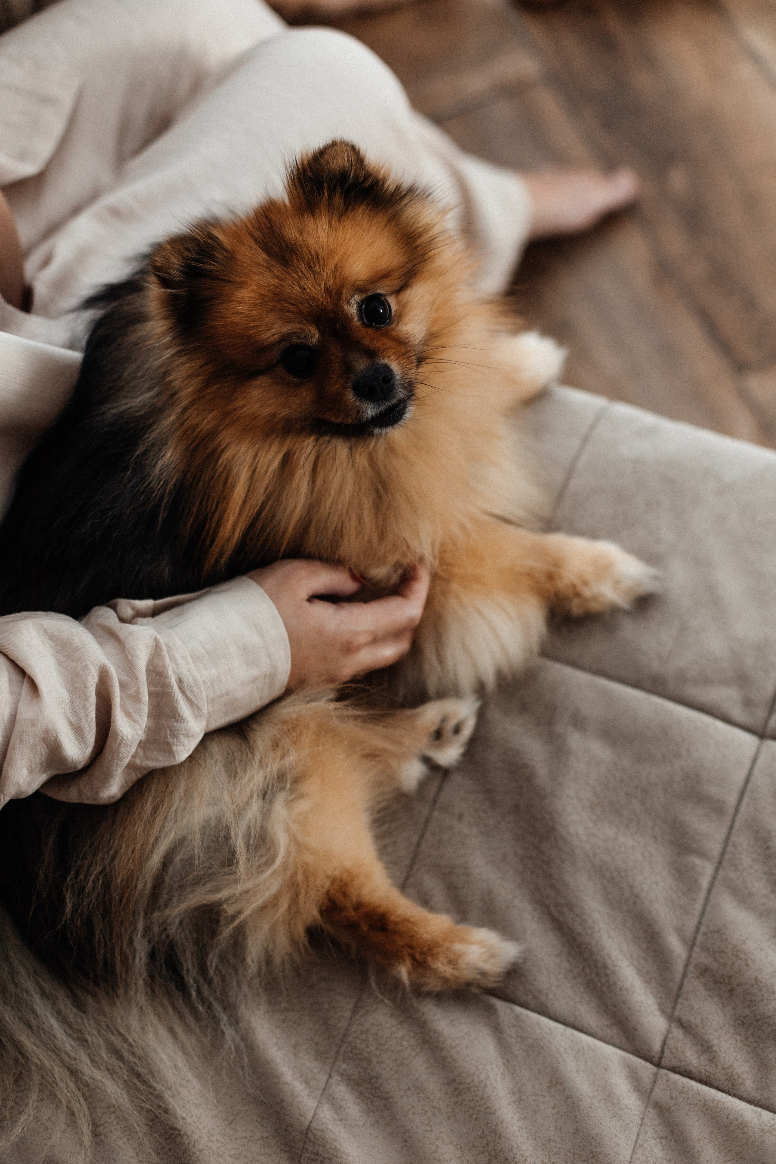 Домашняя фотосессия. Семейный фотограф в Нижнем Новгороде Куренкова Юлия